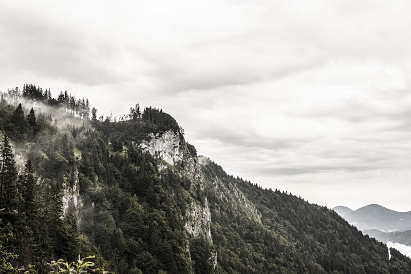 Zgornja Svina