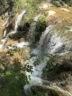 A lush, green landscape featuring a cascading waterfall surrounded by rocks and abundant vegetation. The sunlight highlights the vibrant green leaves and the clear, rushing water as it flows over the stones.