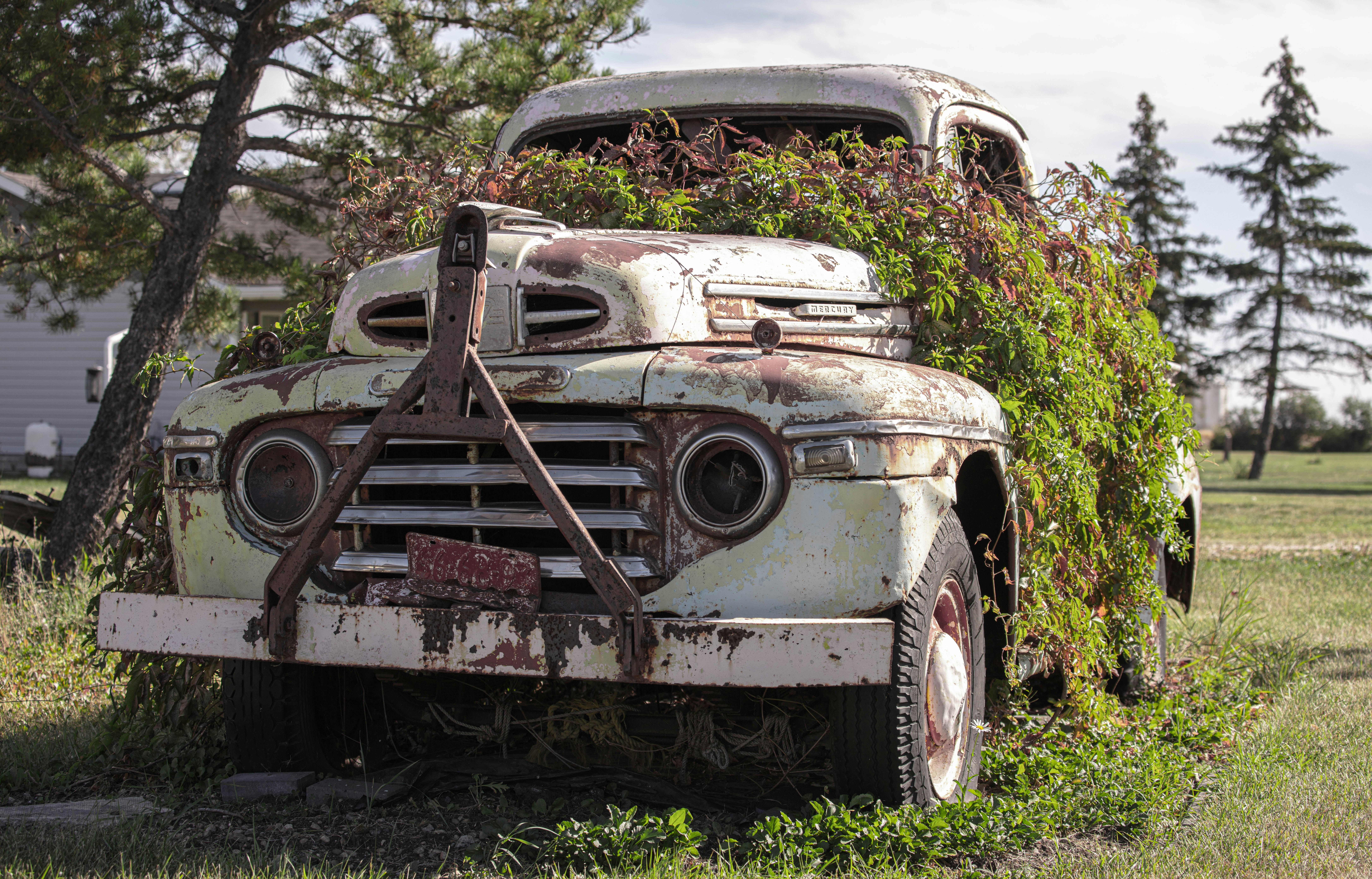 Photo by tristansosteric