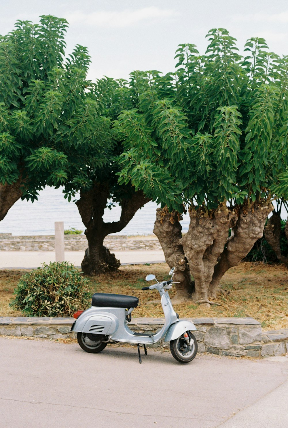 a scooter parked next to a tree