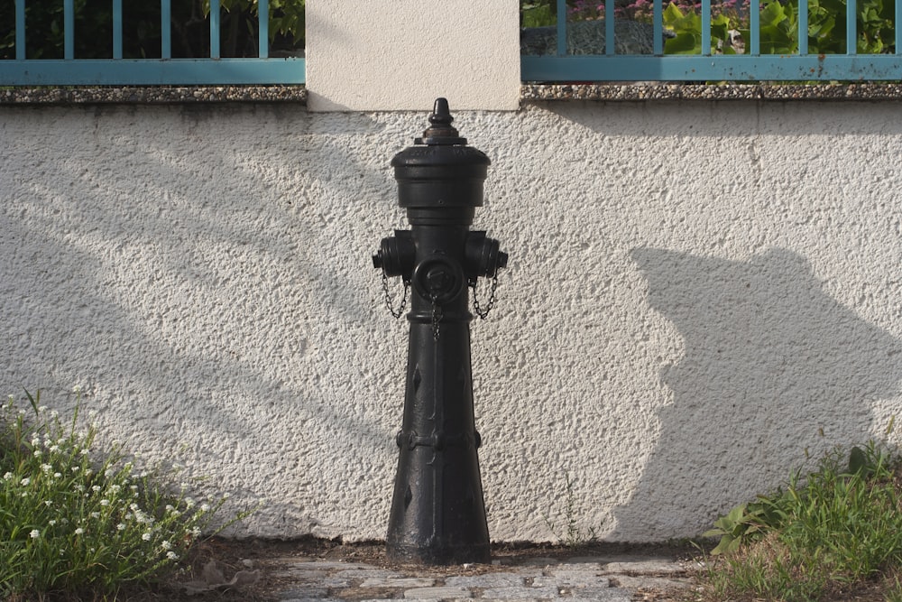 a black fire hydrant