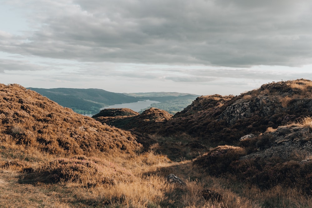 Un paisaje con colinas y hierba