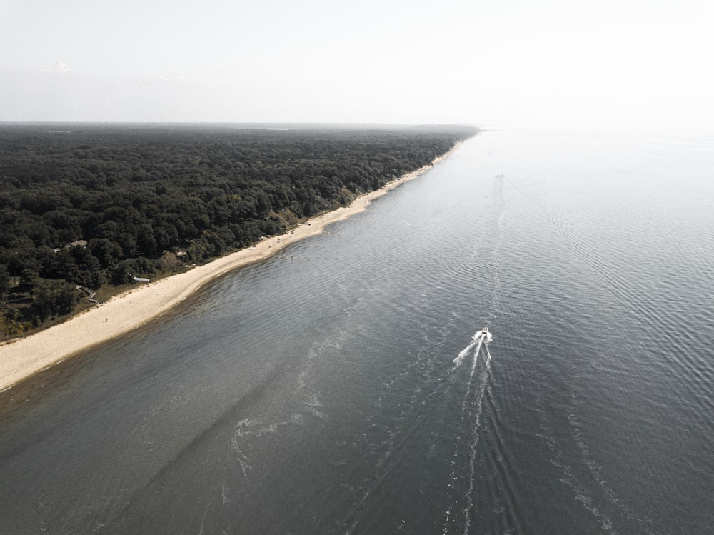 a beach with a body of water