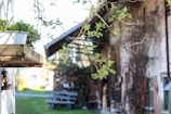 A rustic outdoor scene features a wooden shelf with a pot of colorful flowers. Green branches with fresh leaves extend towards the camera, partially obscuring the view of a weathered building with stacked firewood. The area exudes a natural, peaceful atmosphere.