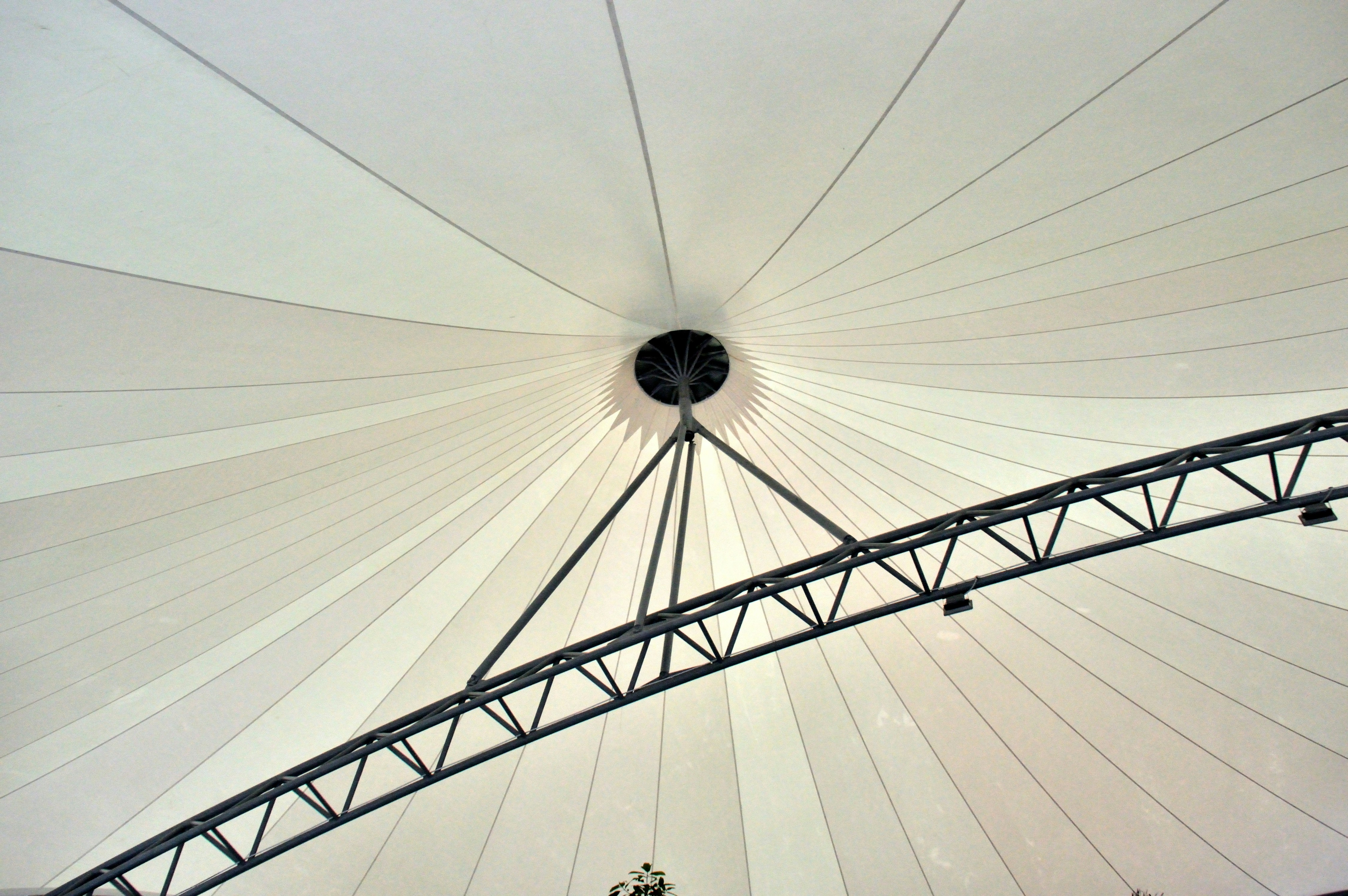 Completed tensile structure project