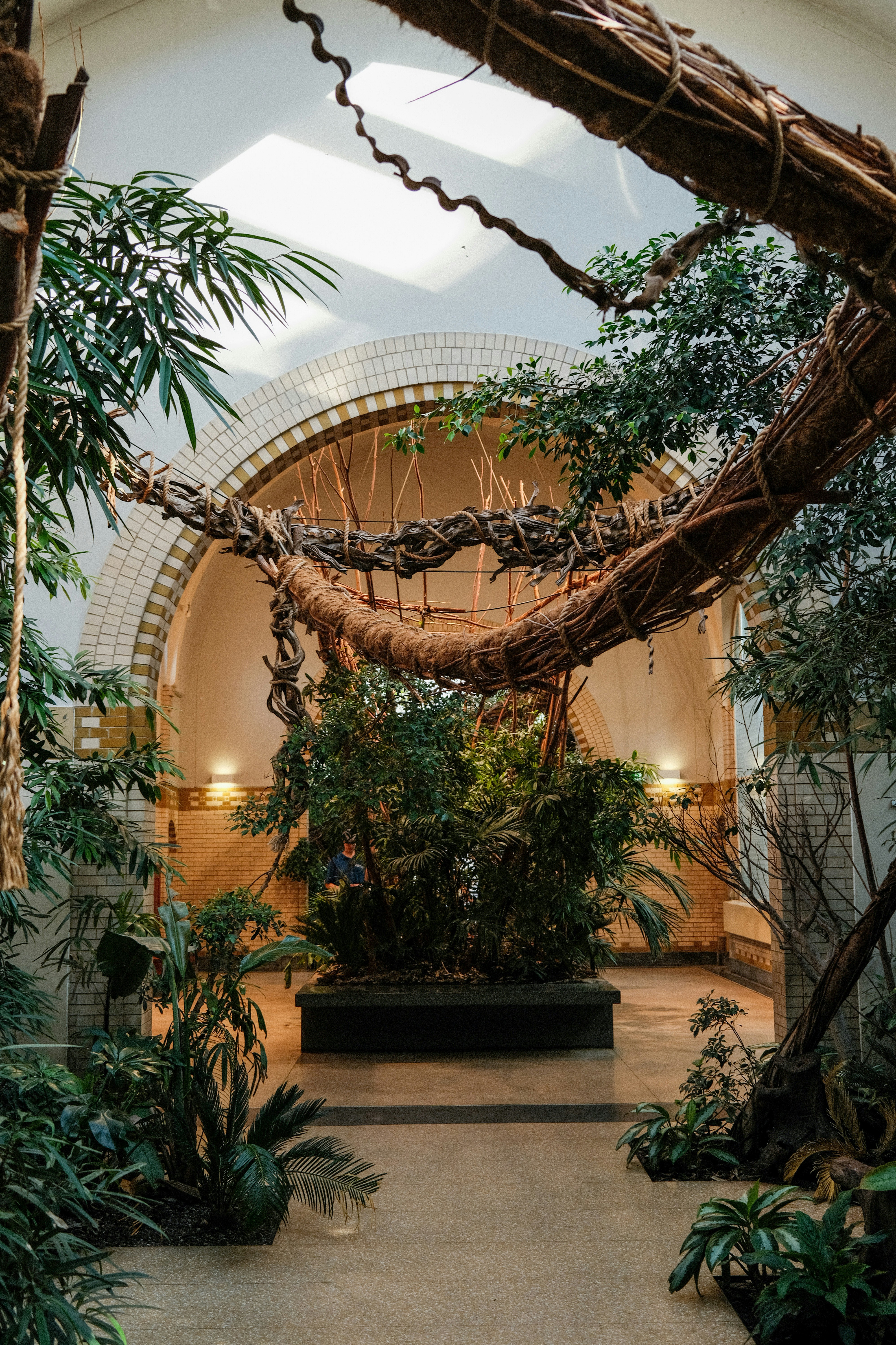 a large indoor garden