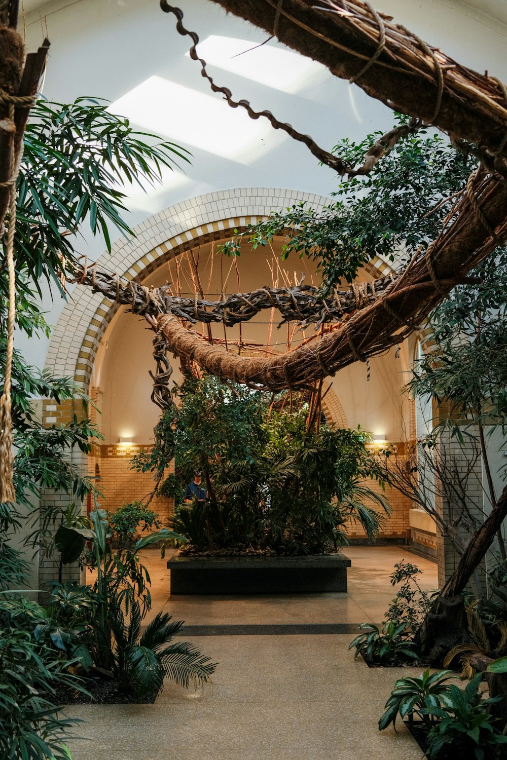 a large indoor garden