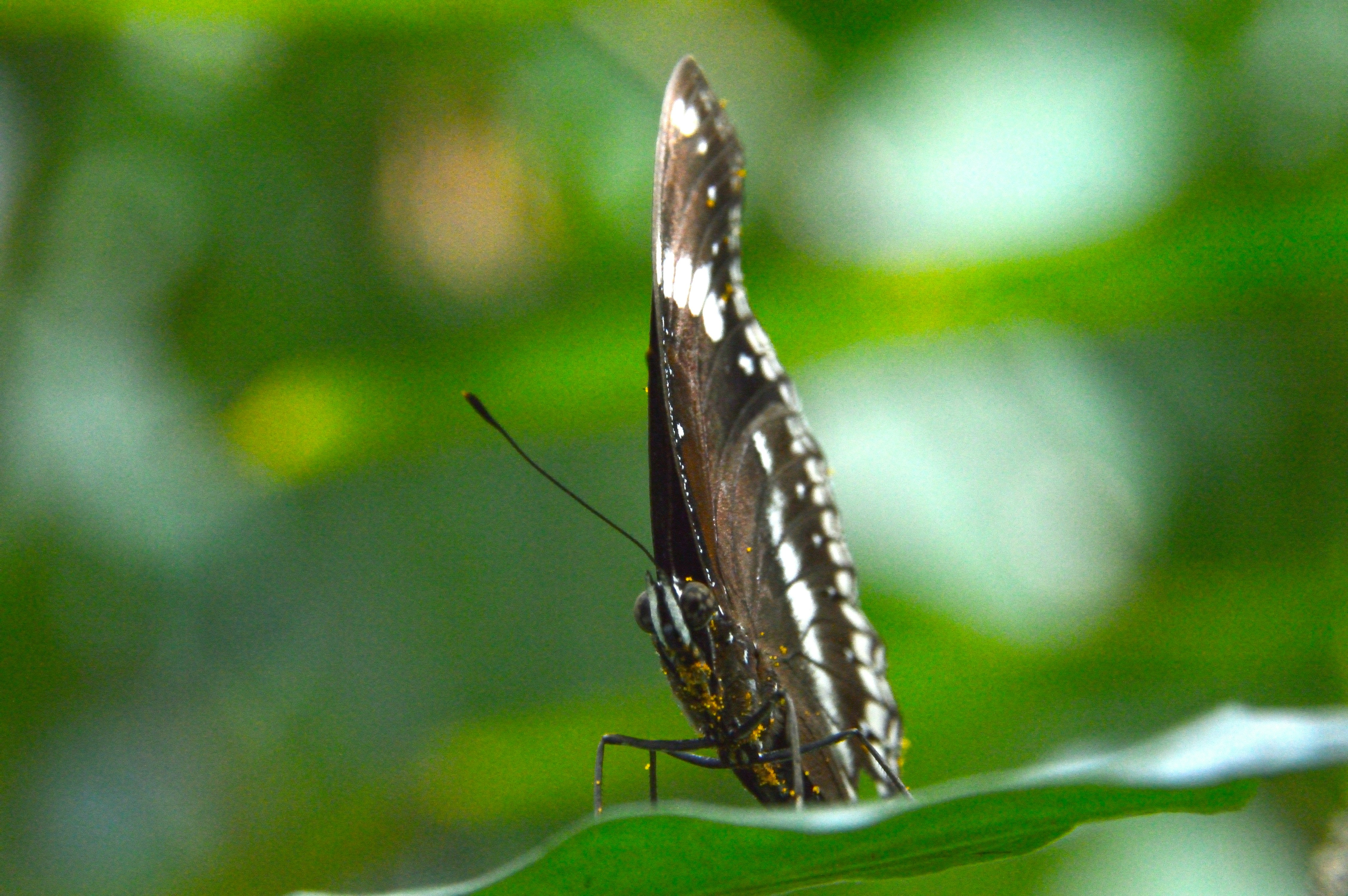 Photo by sreeji