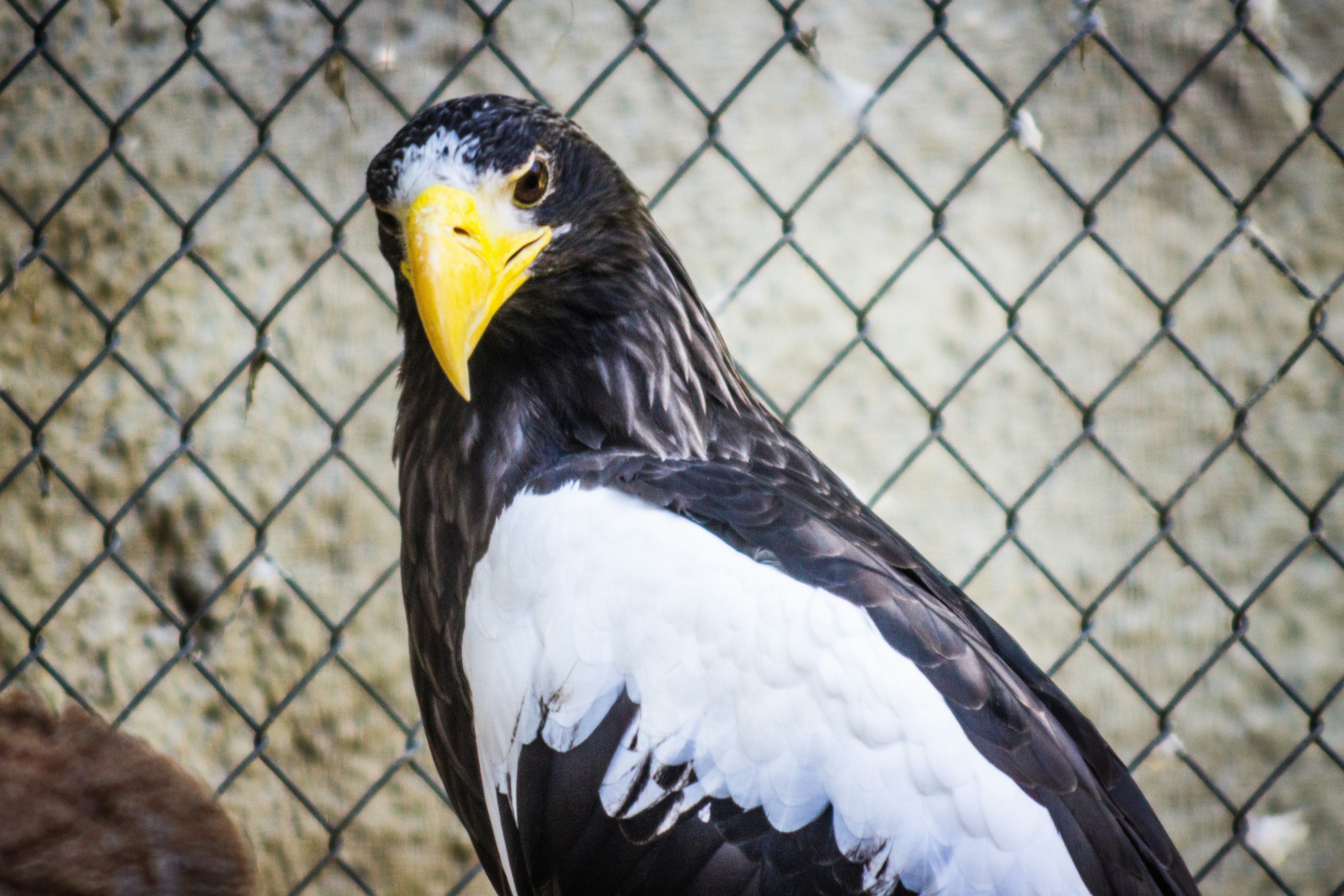 Photo by brianwangenheim