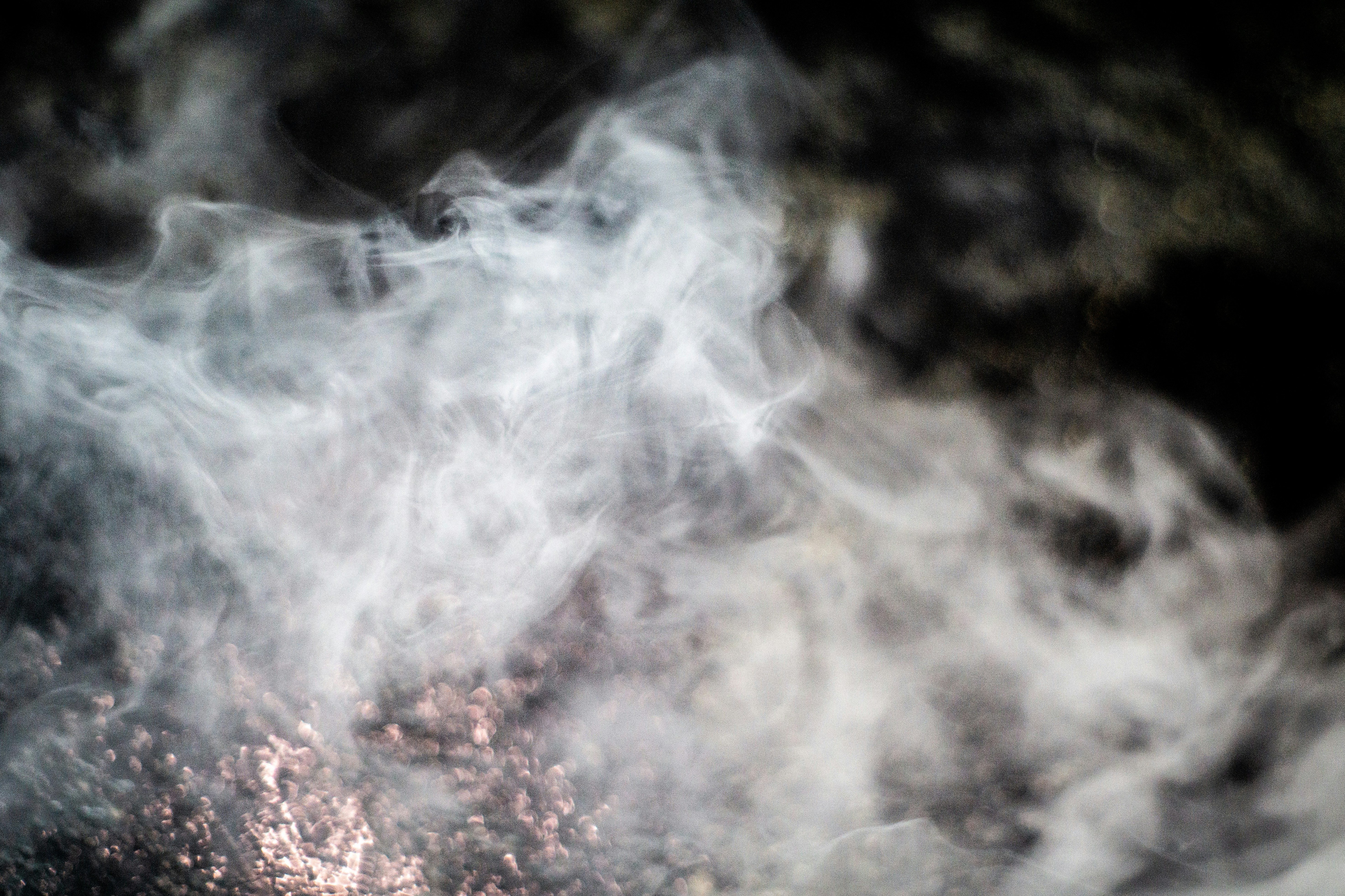 Photo by brianwangenheim