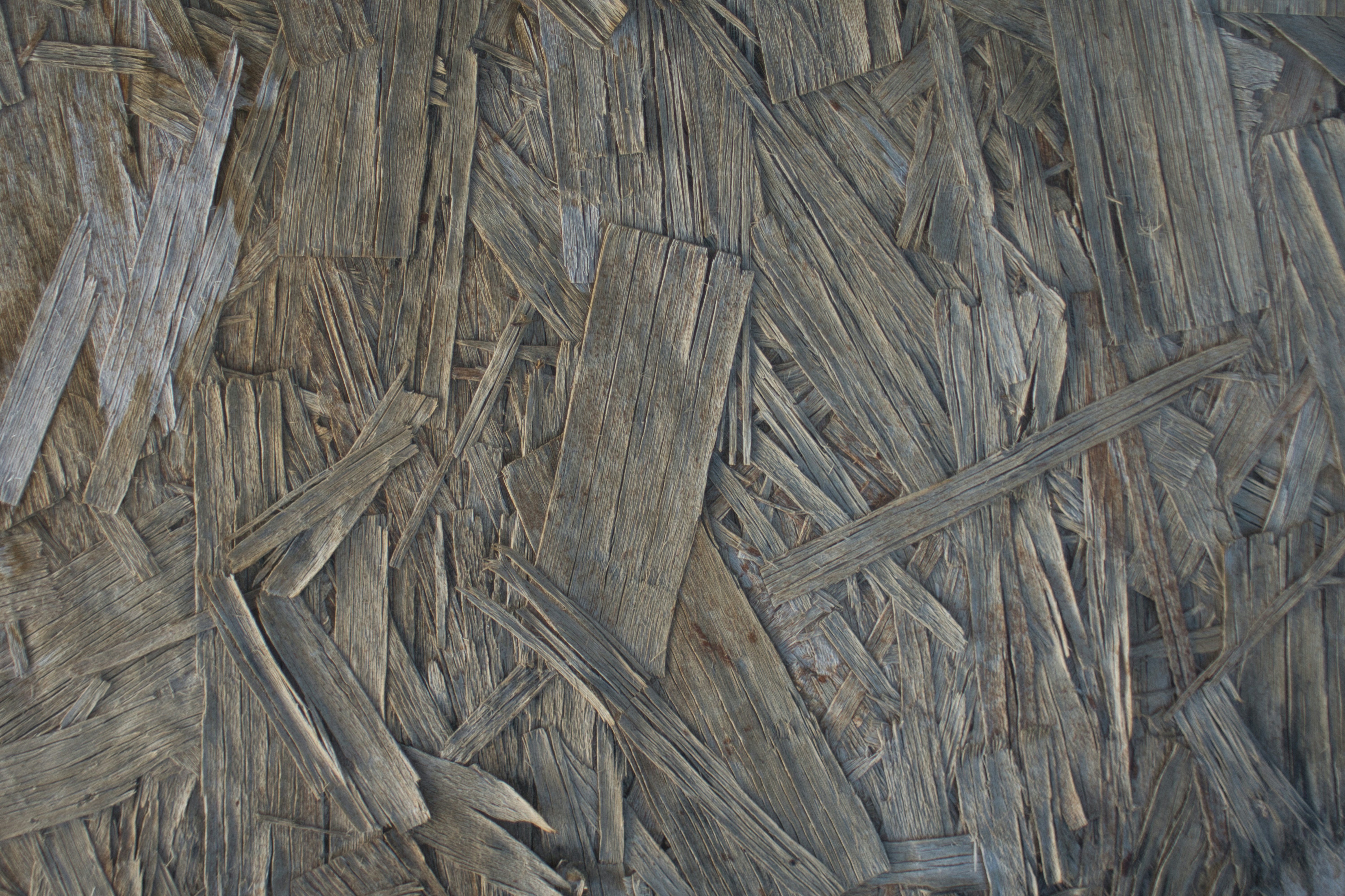 Photo by brianwangenheim