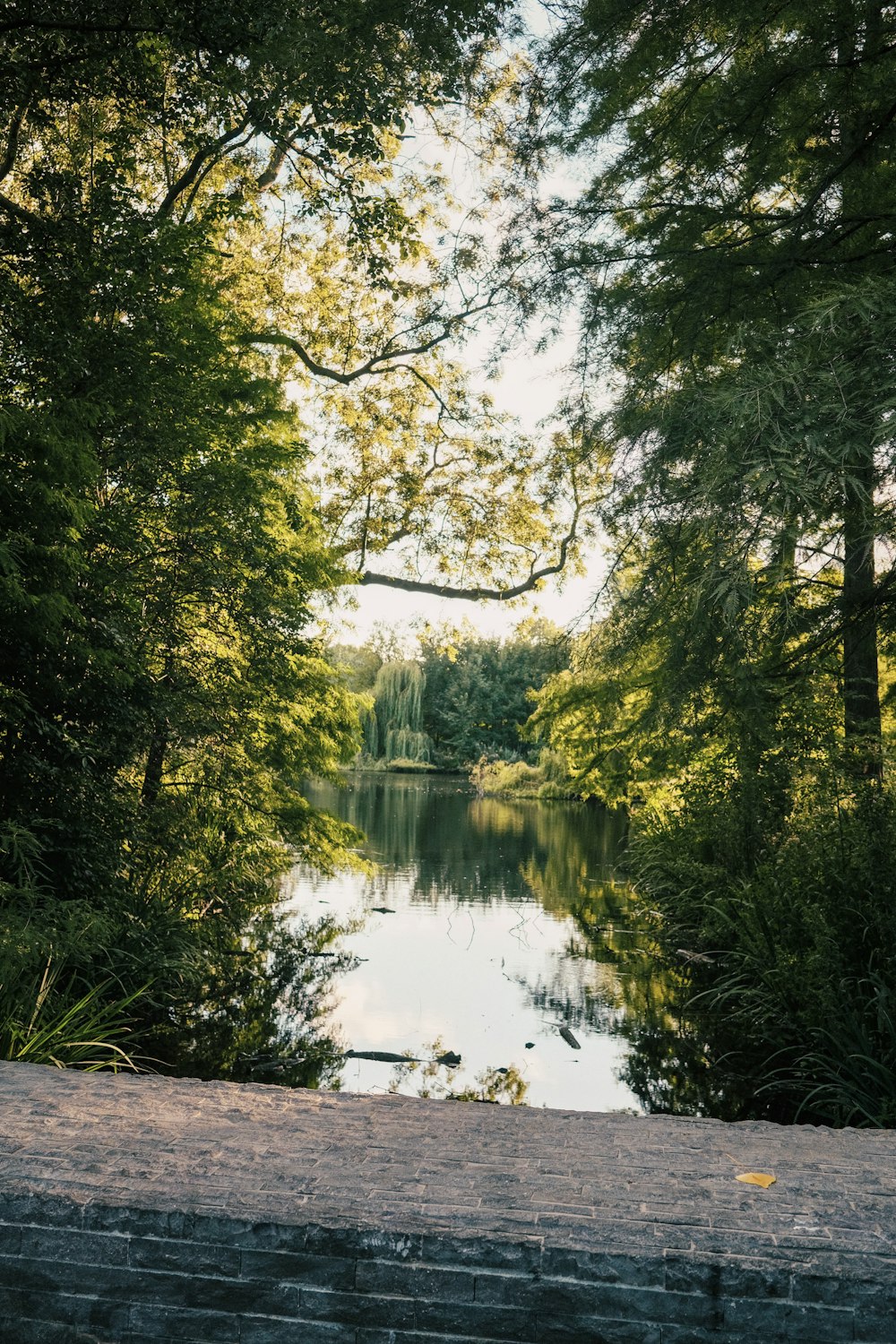 a river with trees on either side