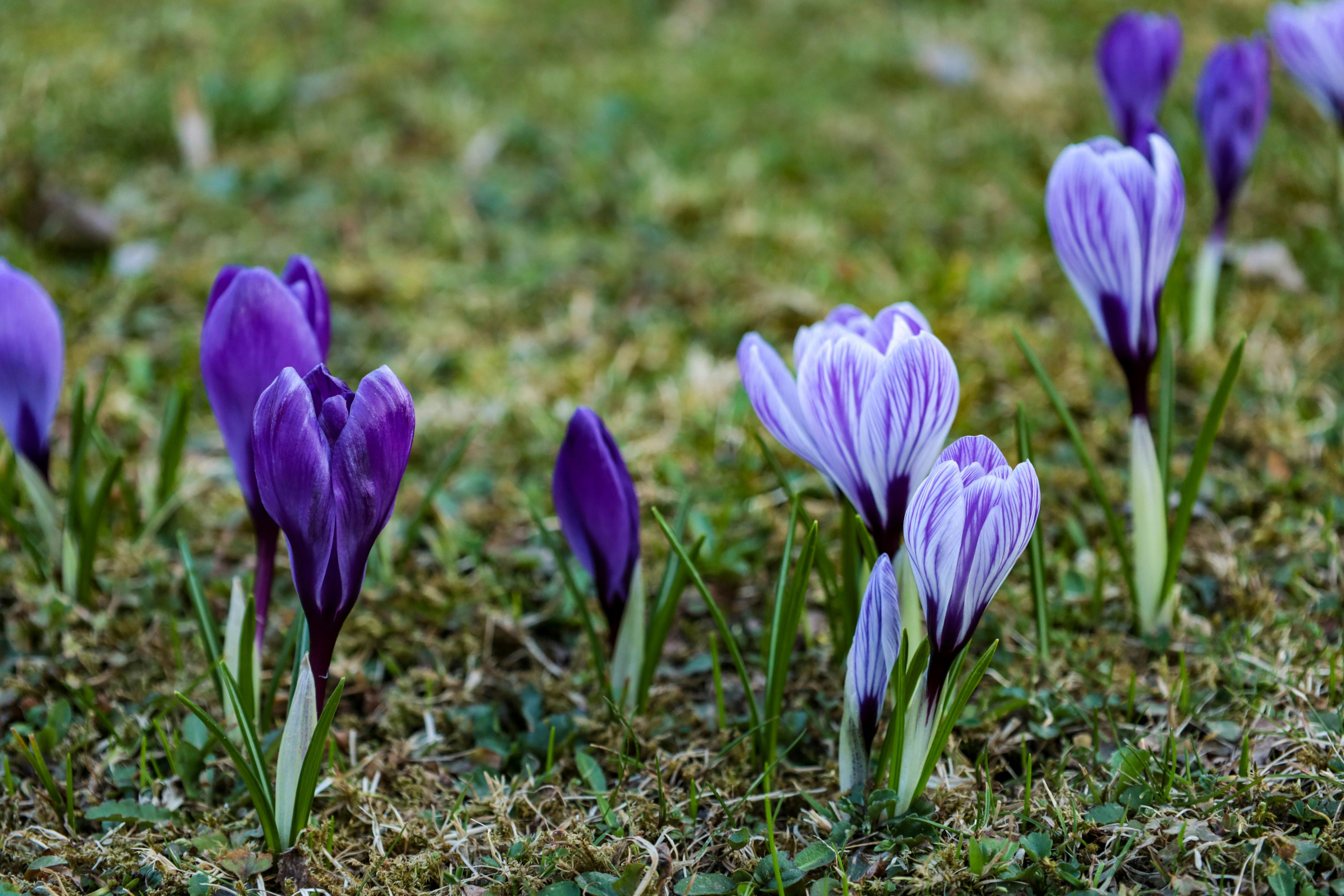 Photo by doeringphotograpy