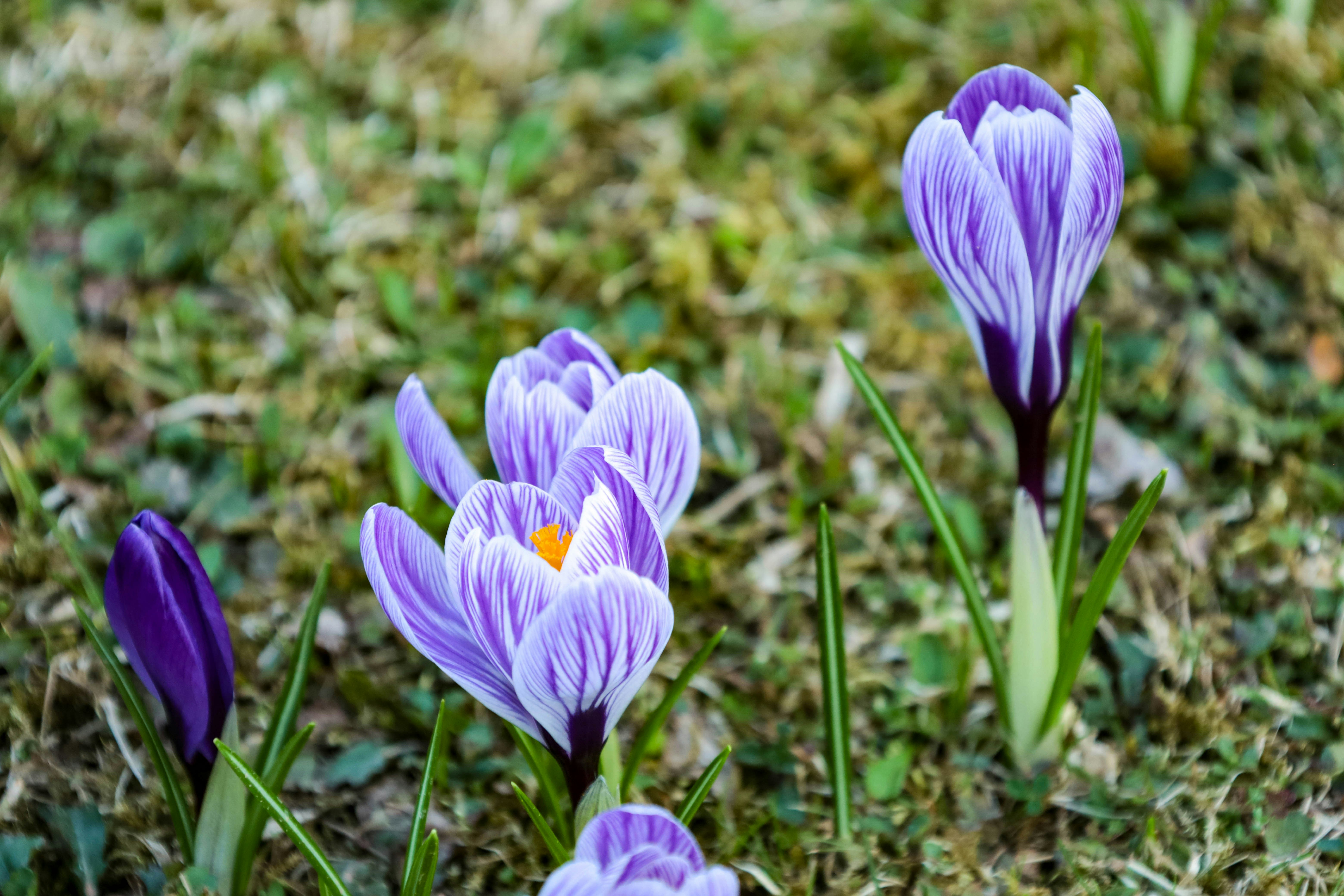 Photo by doeringphotograpy