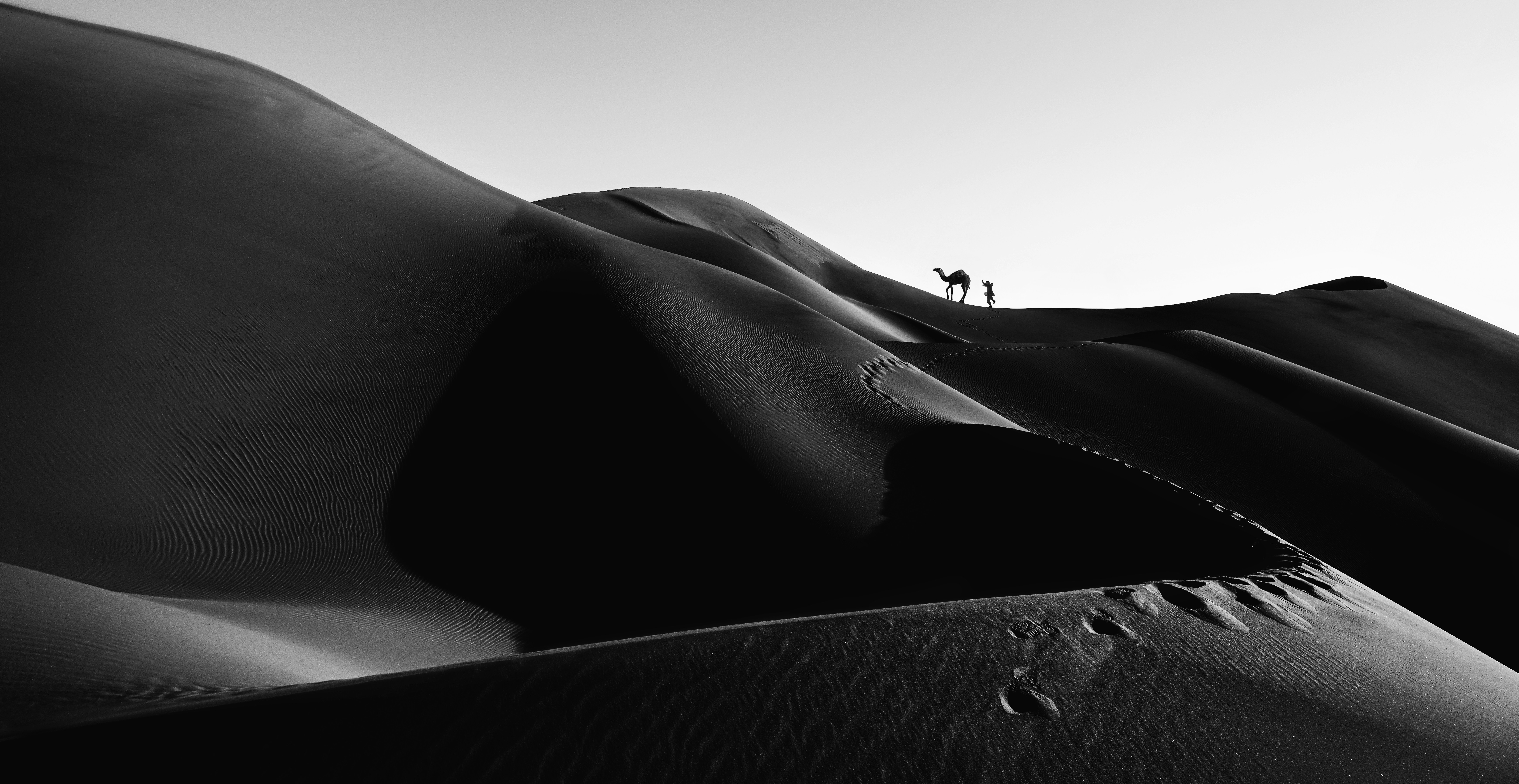Photo by marjantaghipour