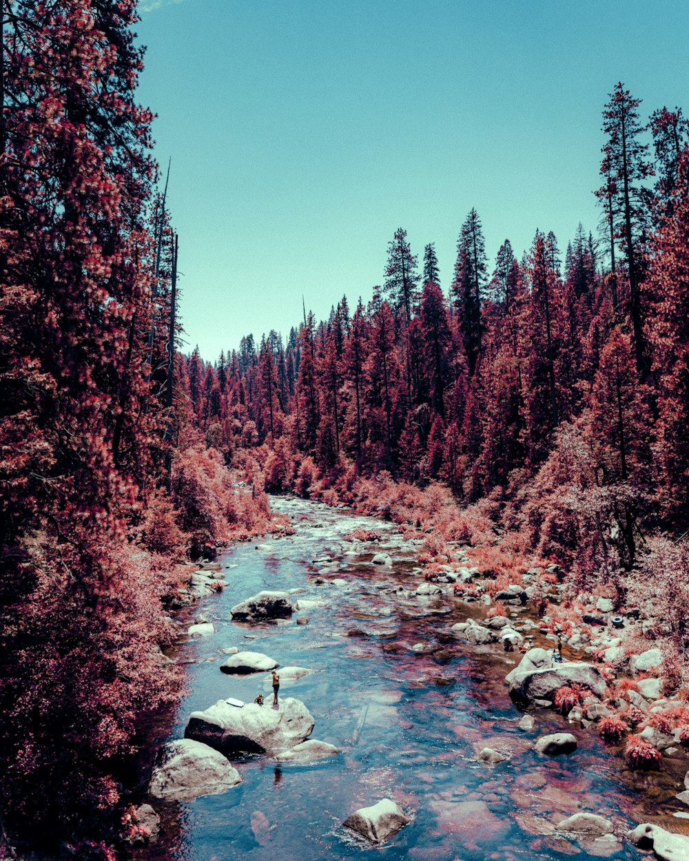 a river with rocks and trees