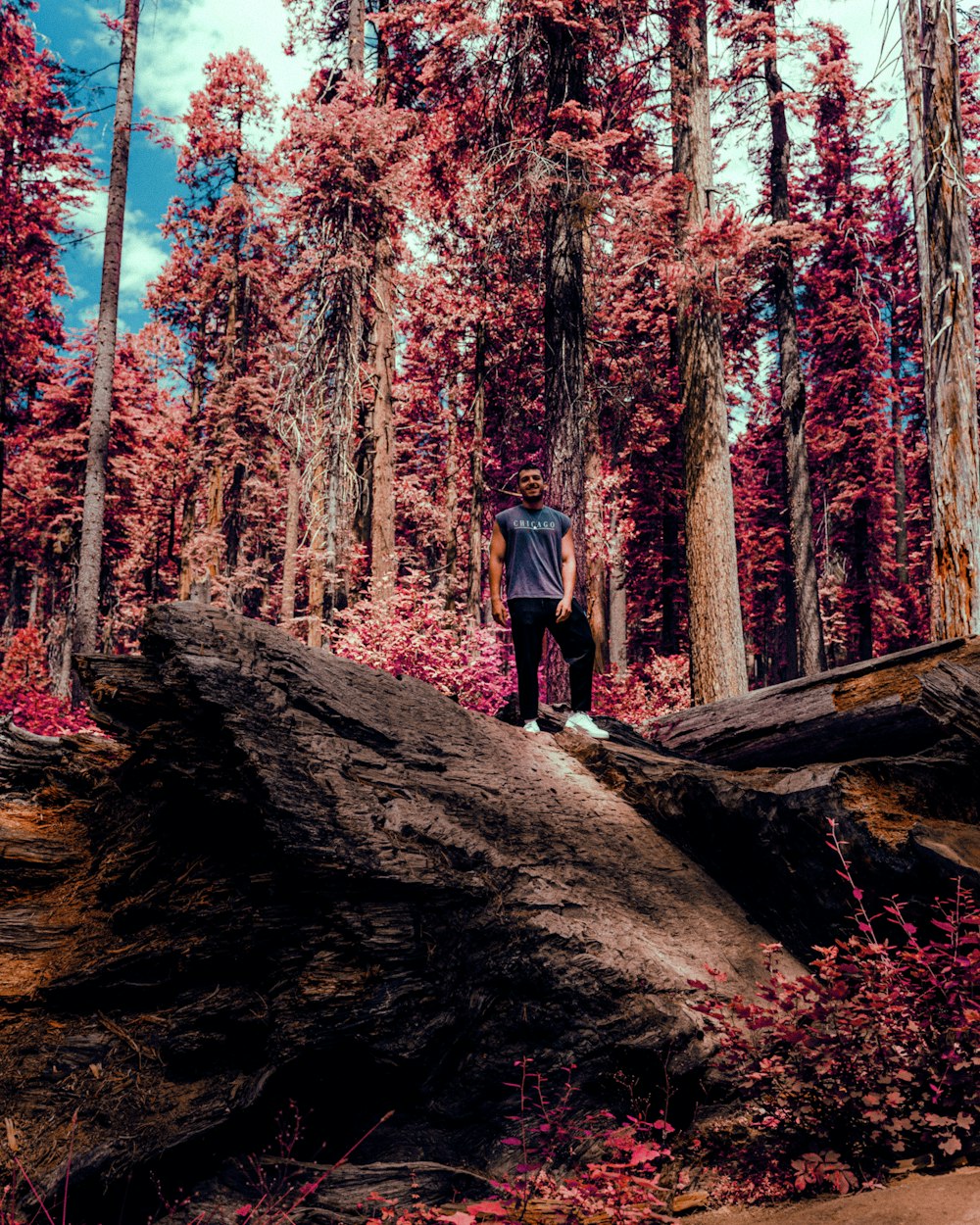 a person standing on a rock