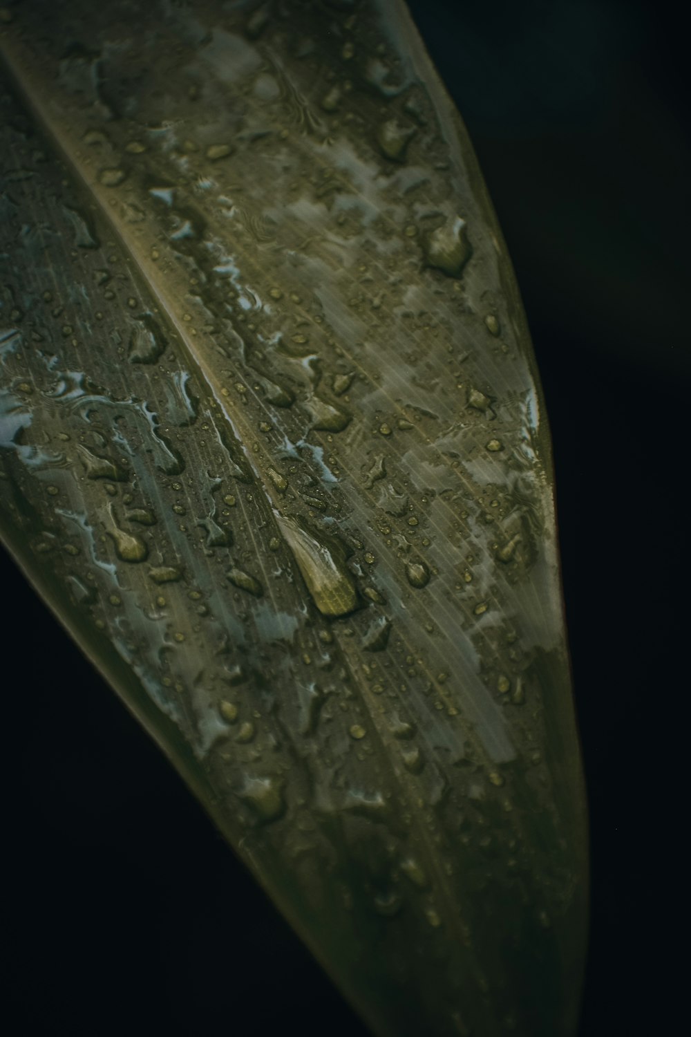 a close-up of a rock