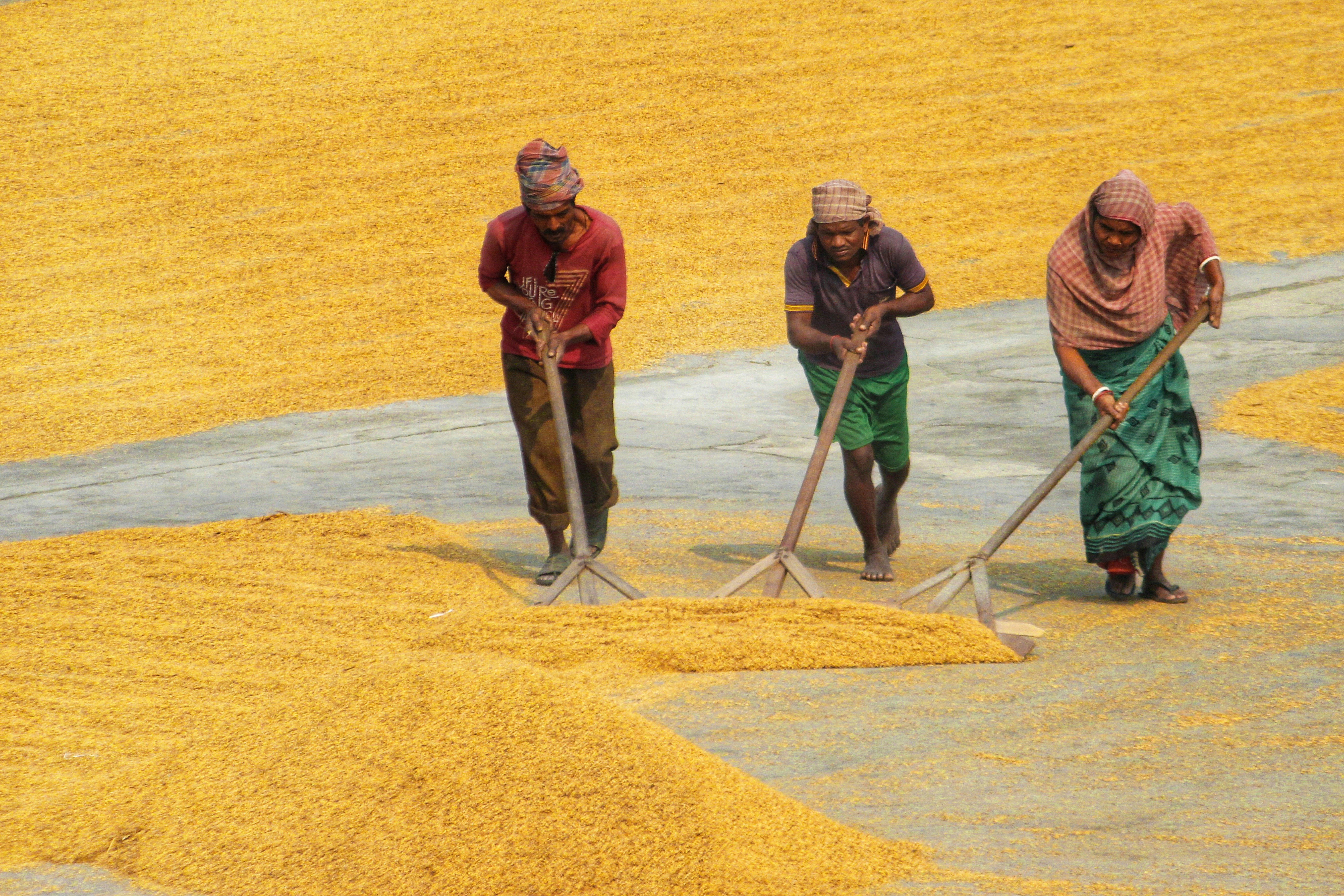 a group of people shoveling dirt