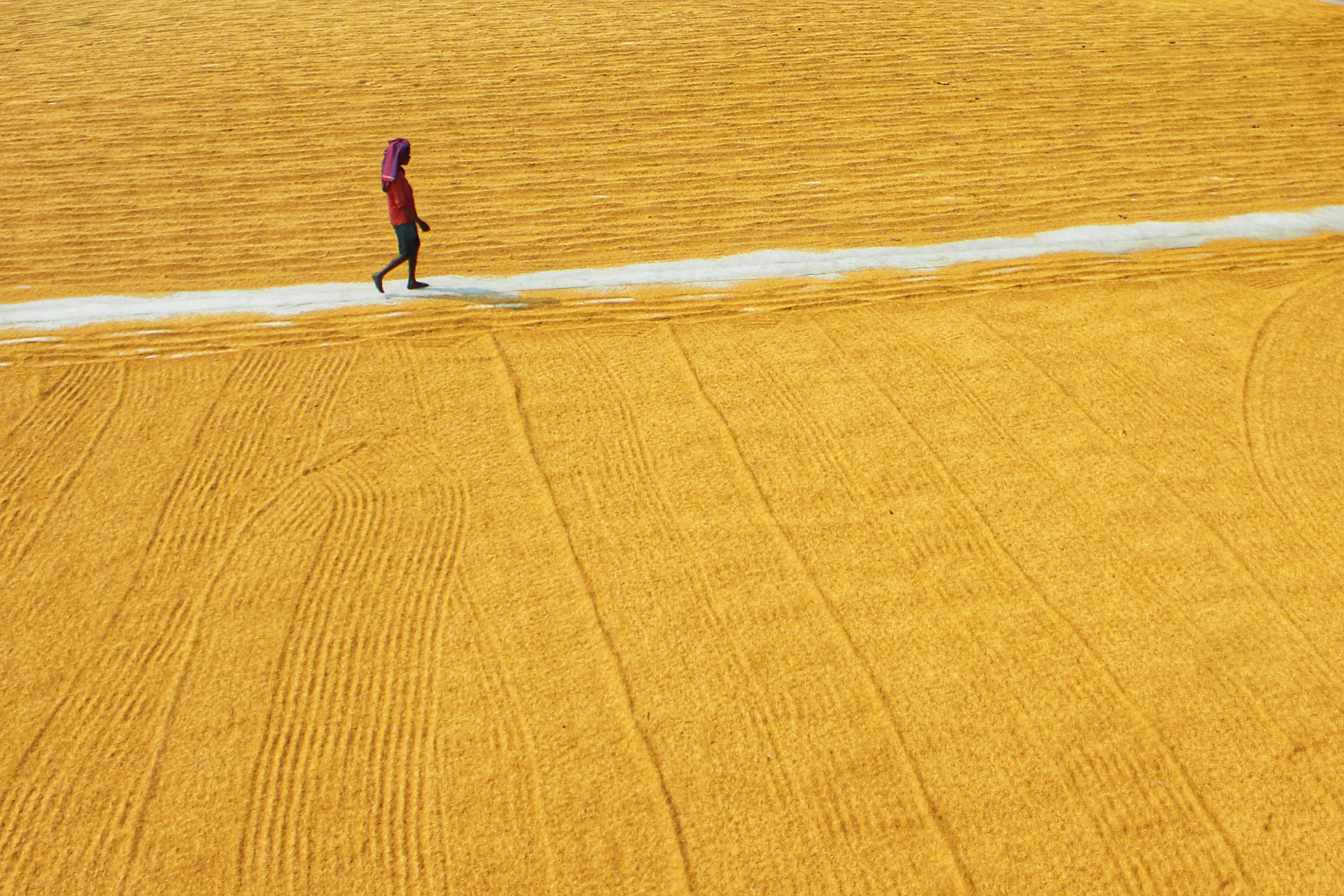 a person walking on a beach