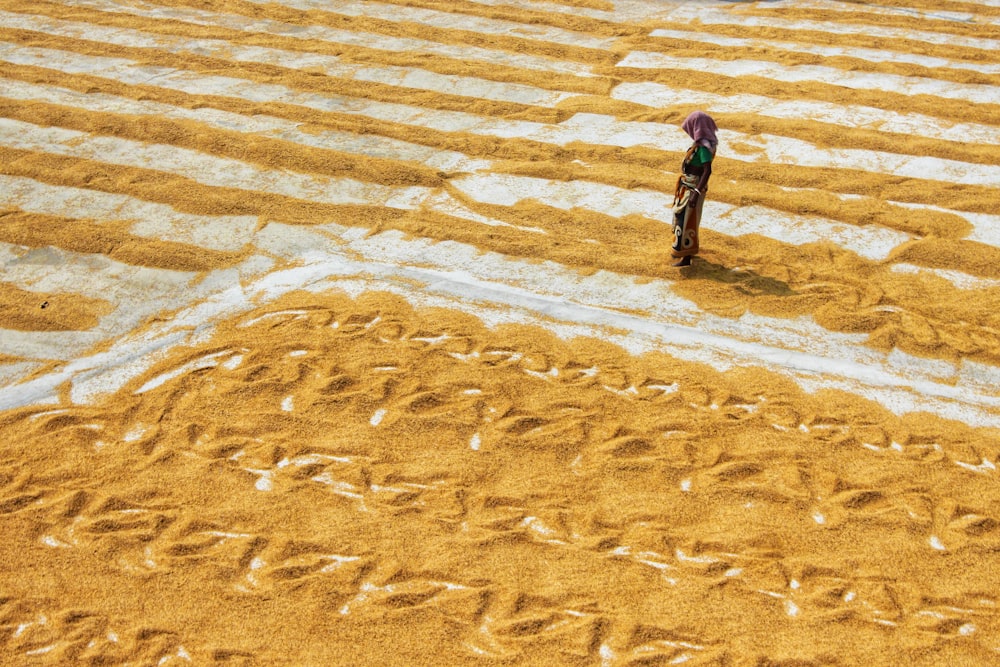 a person walking on a sandy beach