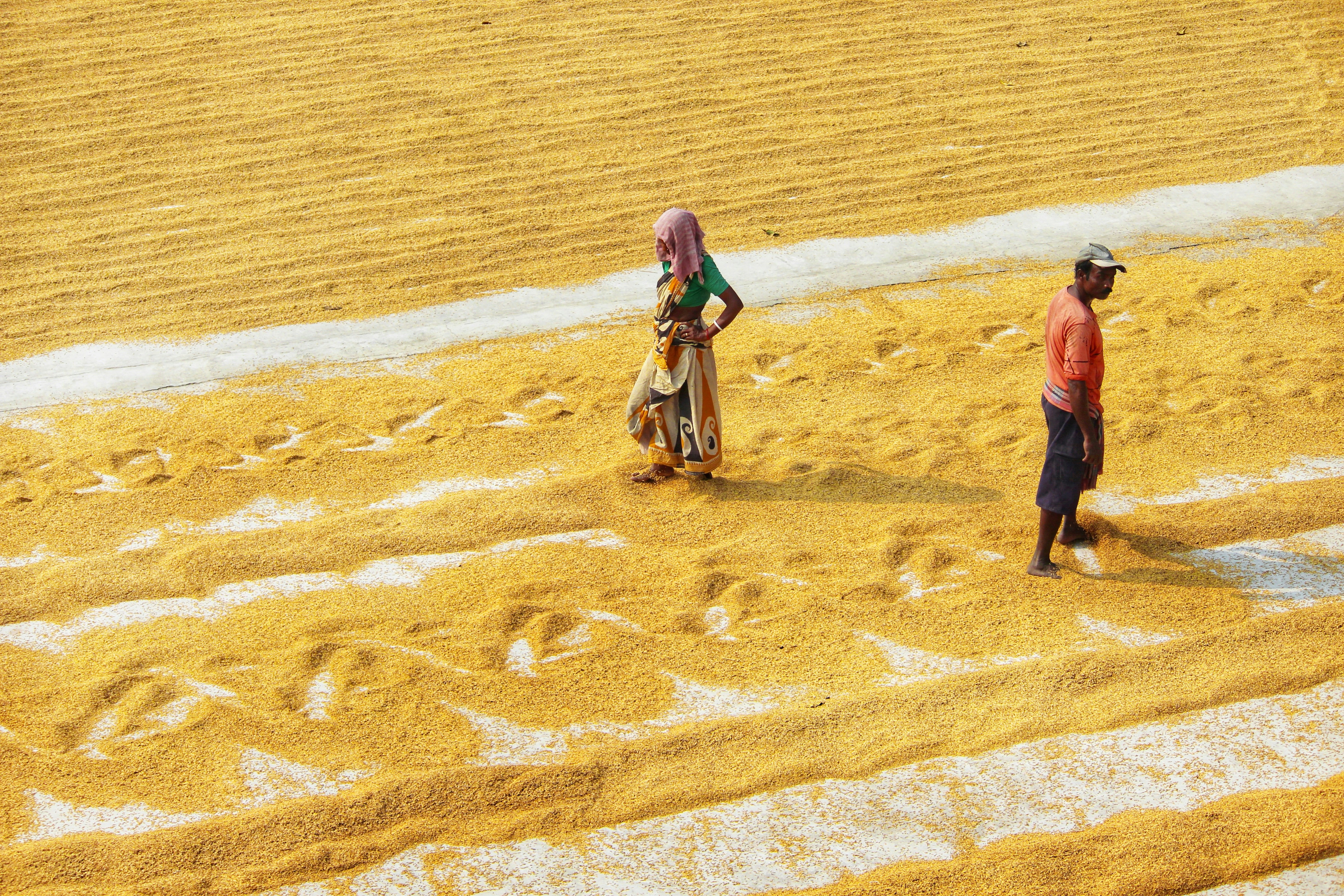 a man and woman walking in the sand