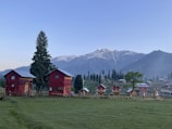 Two red wooden houses with blue roofs stand on a grassy field with a backdrop of snow-capped mountains. A few trees, including one tall evergreen, surround the area. Small wooden cabins are visible on the right side, and a clear sky hovers above.