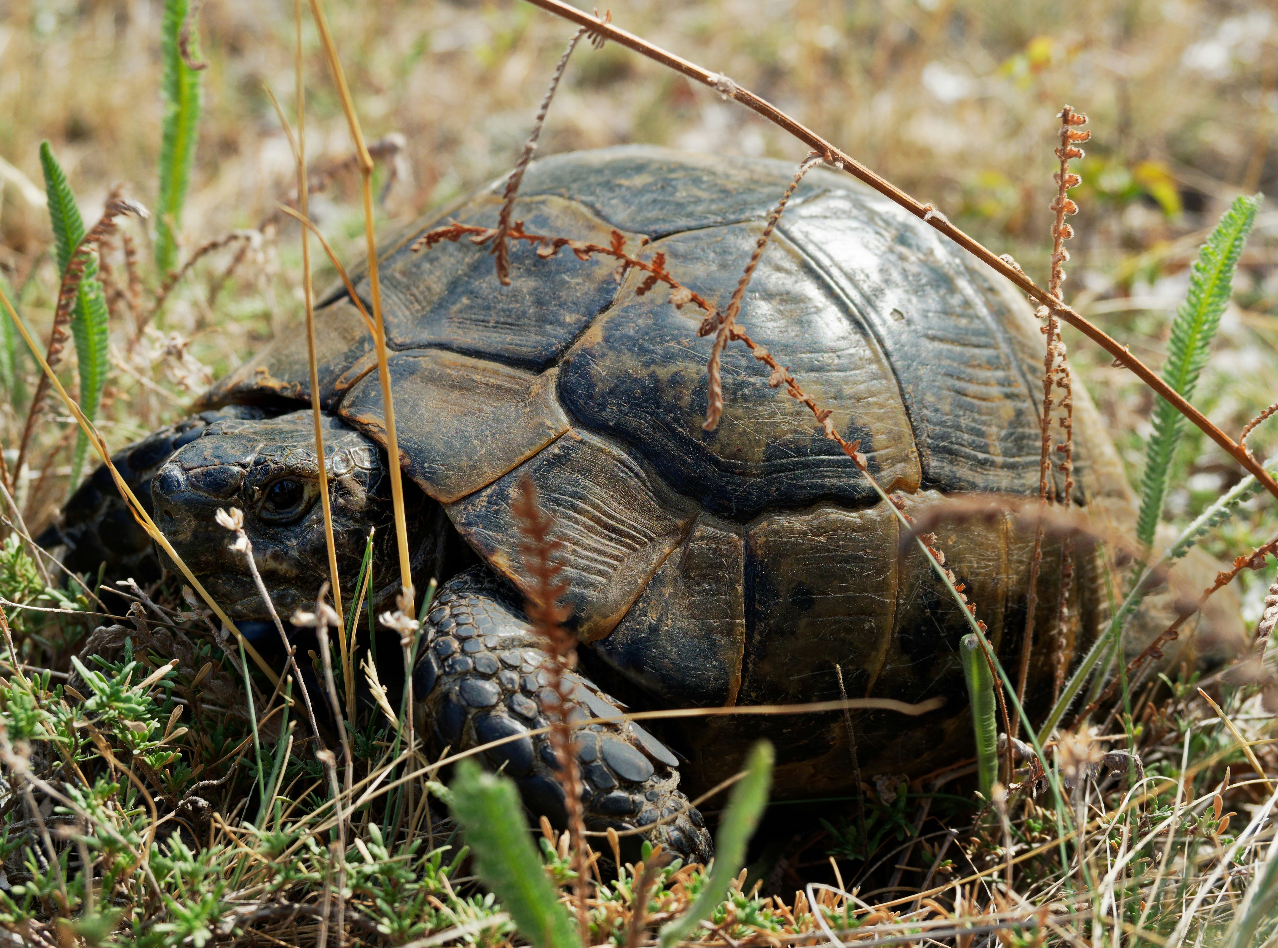 Photo by illes_cristi