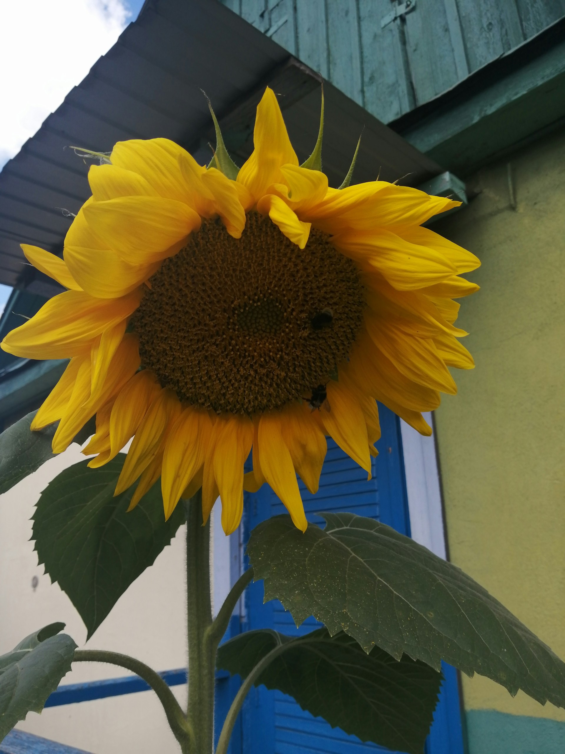 gray computer monitor