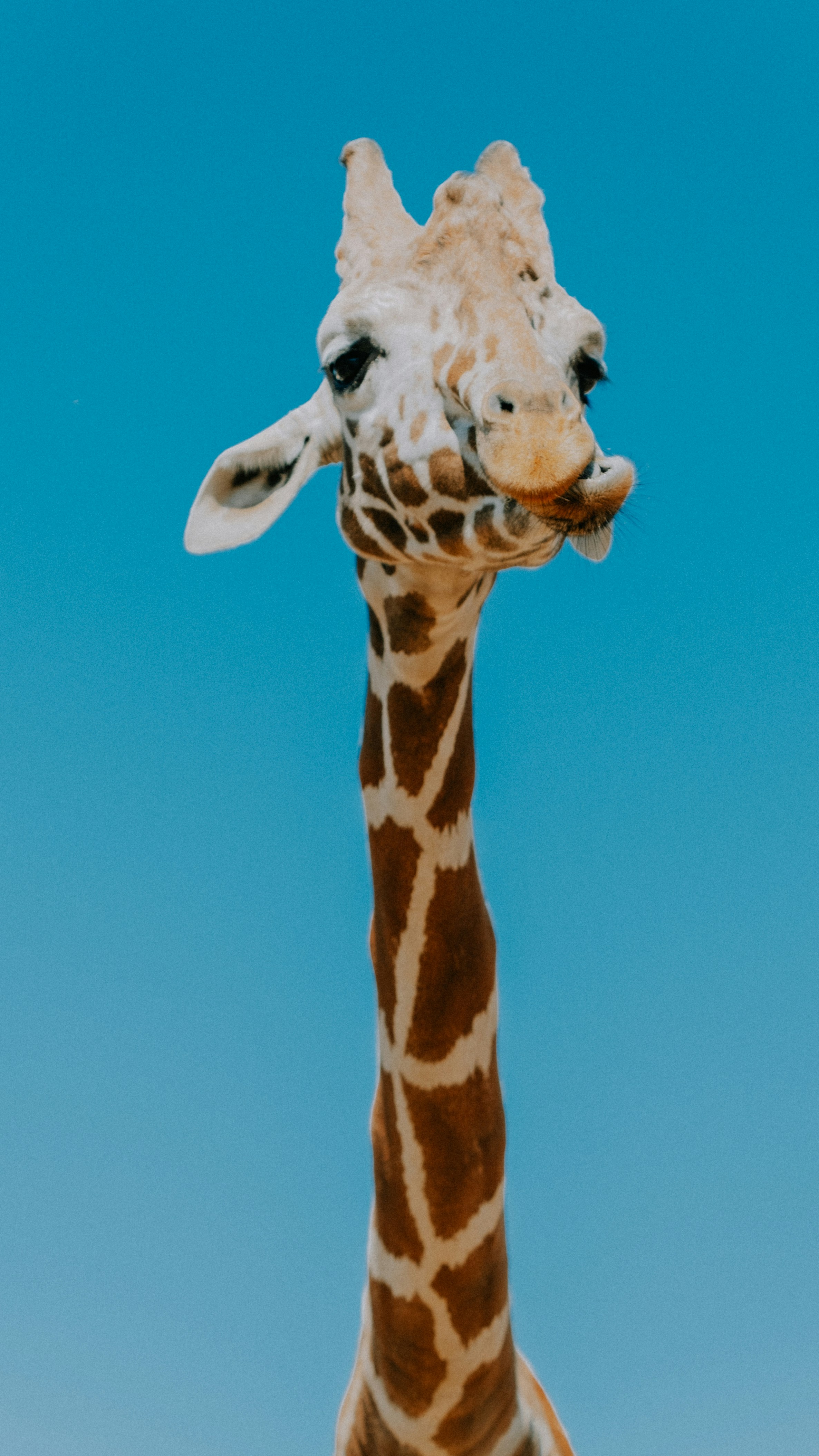 Photo by marsupialpudding