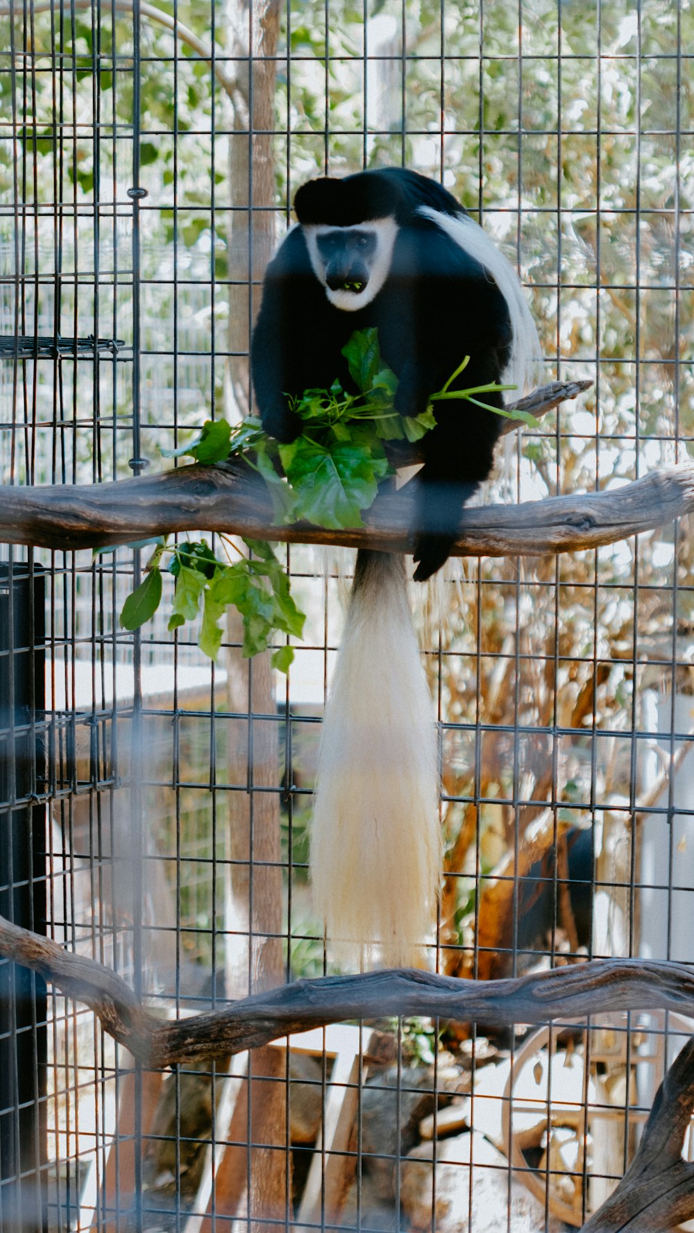 a panda sitting on a branch in a cage