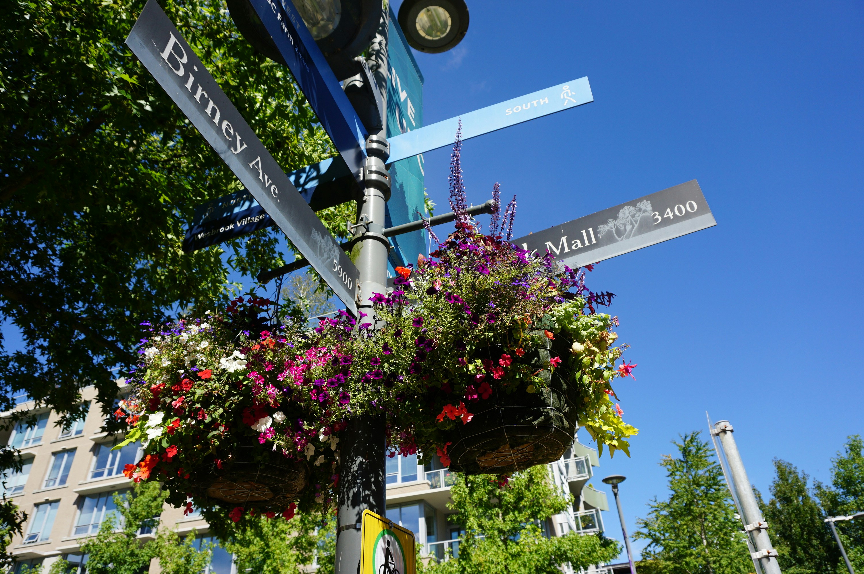 a street sign with flowers on it