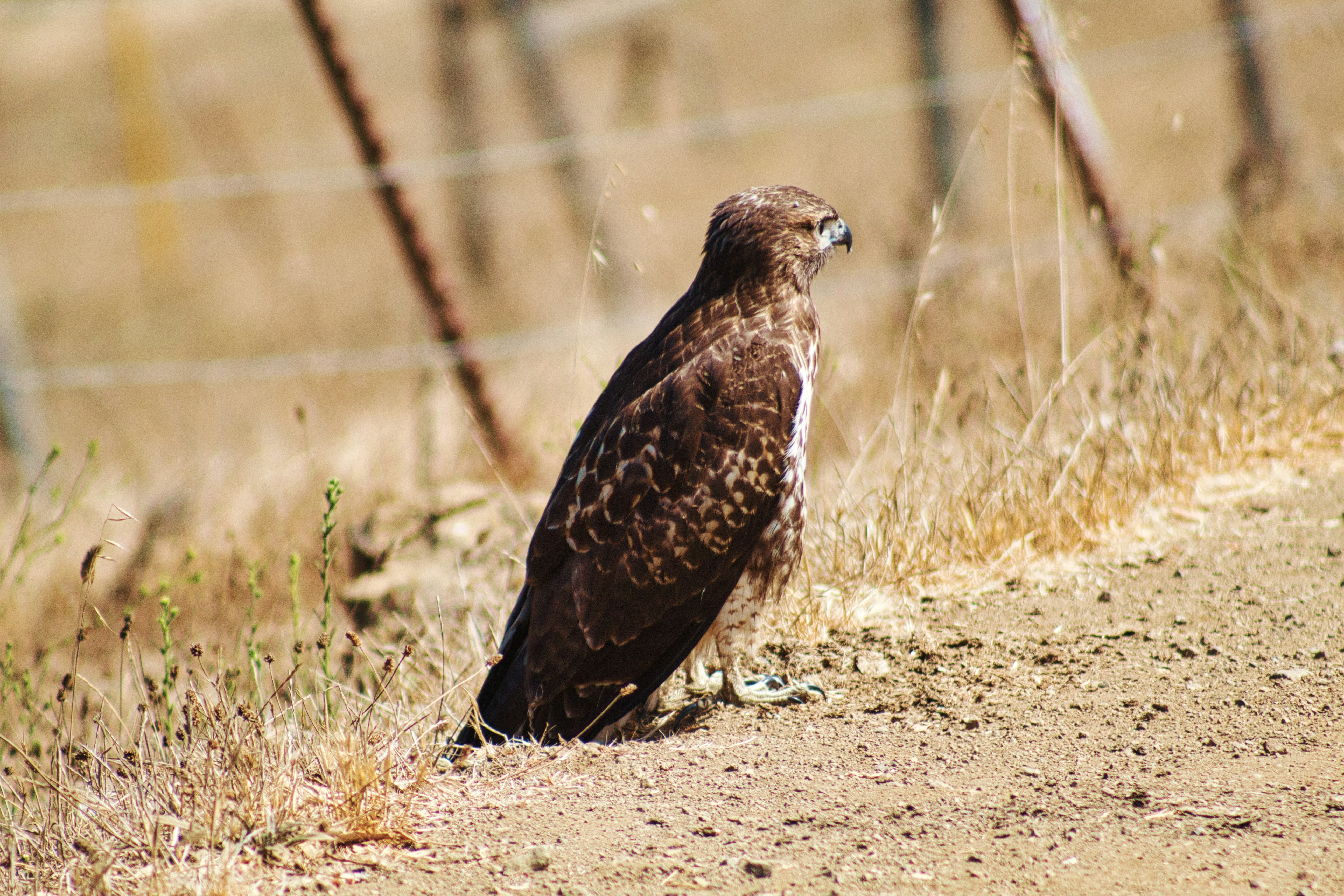 Photo by brianwangenheim