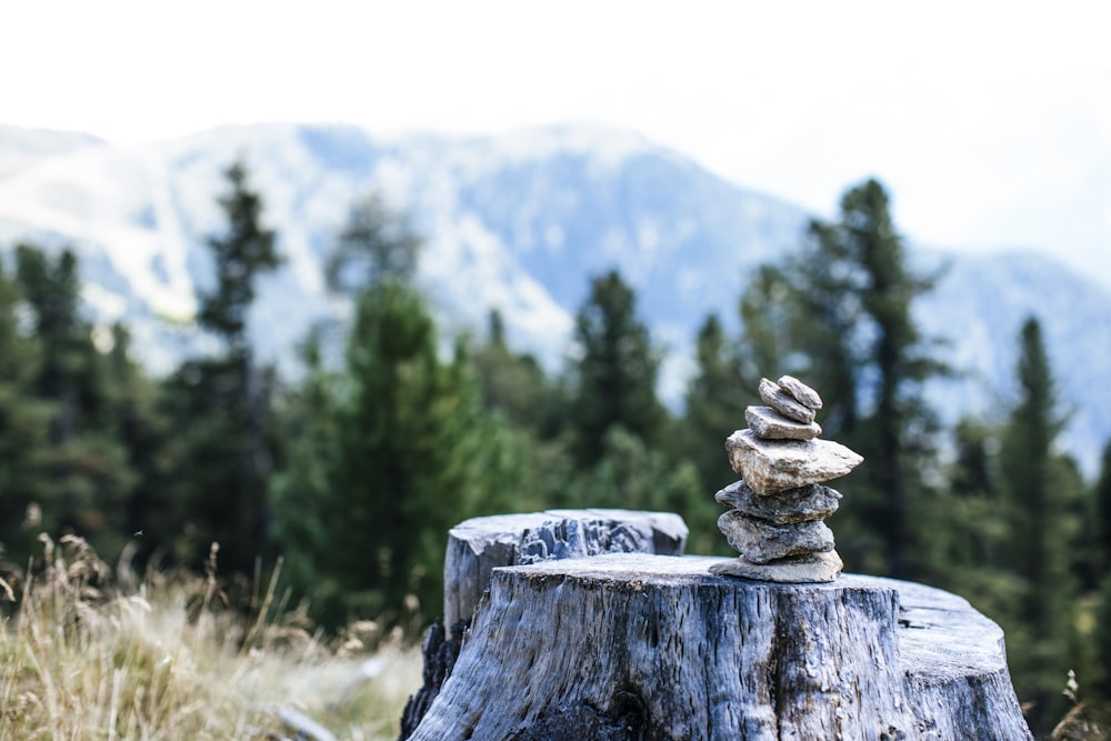 a stone statue on a rock