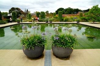 A landscaped garden with a rectangular pond surrounded by stone pavement. The pond has clear, reflective water with aquatic plants. In the foreground, large pots with purple flowers and lush green foliage are visible. Several people are walking or standing around the pond, and there are neatly trimmed hedges and flowering plants in the background. Buildings with traditional architecture, including a spired roof, are partially visible beyond the garden.
