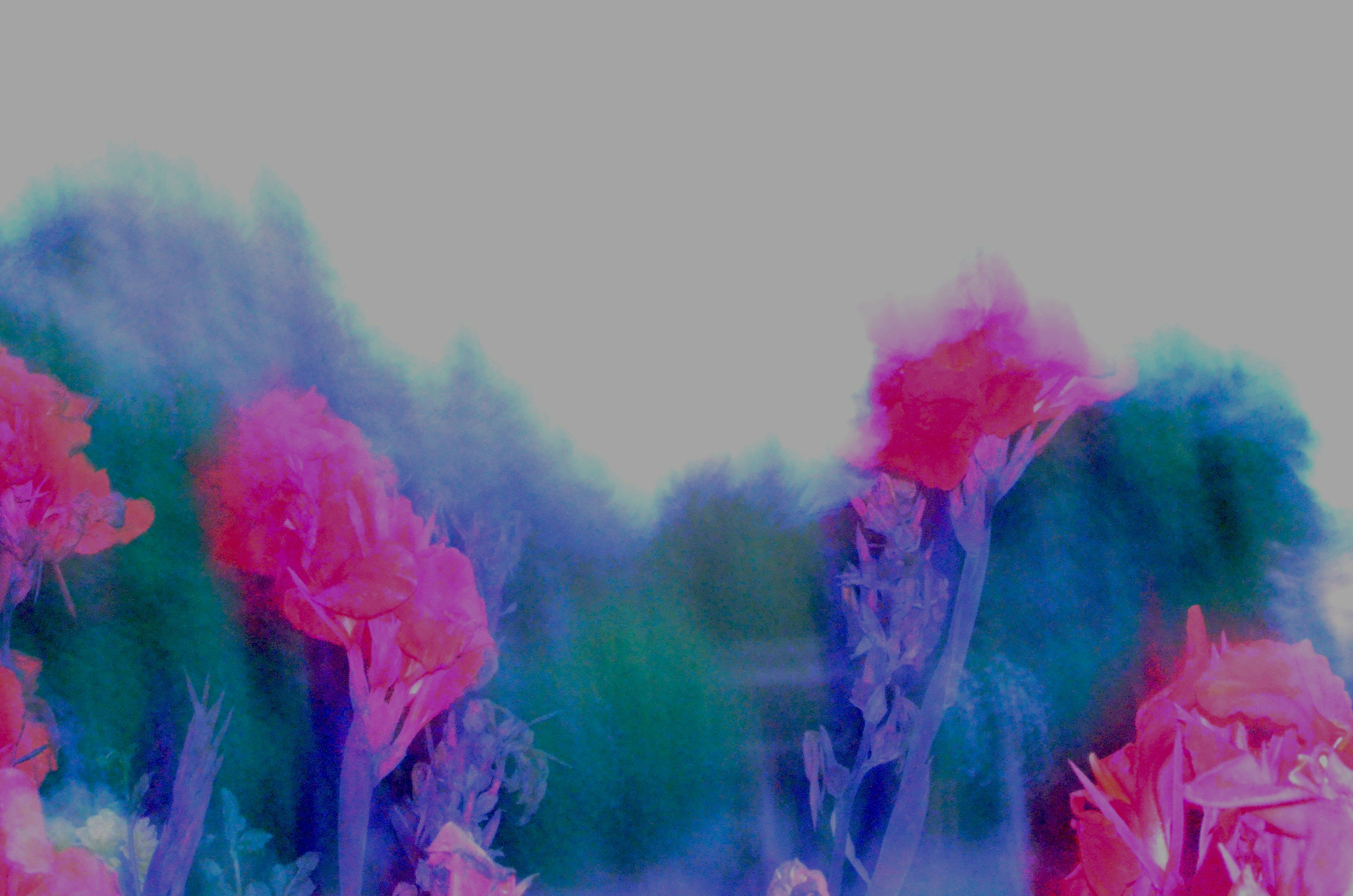 Photo by gillyljbean