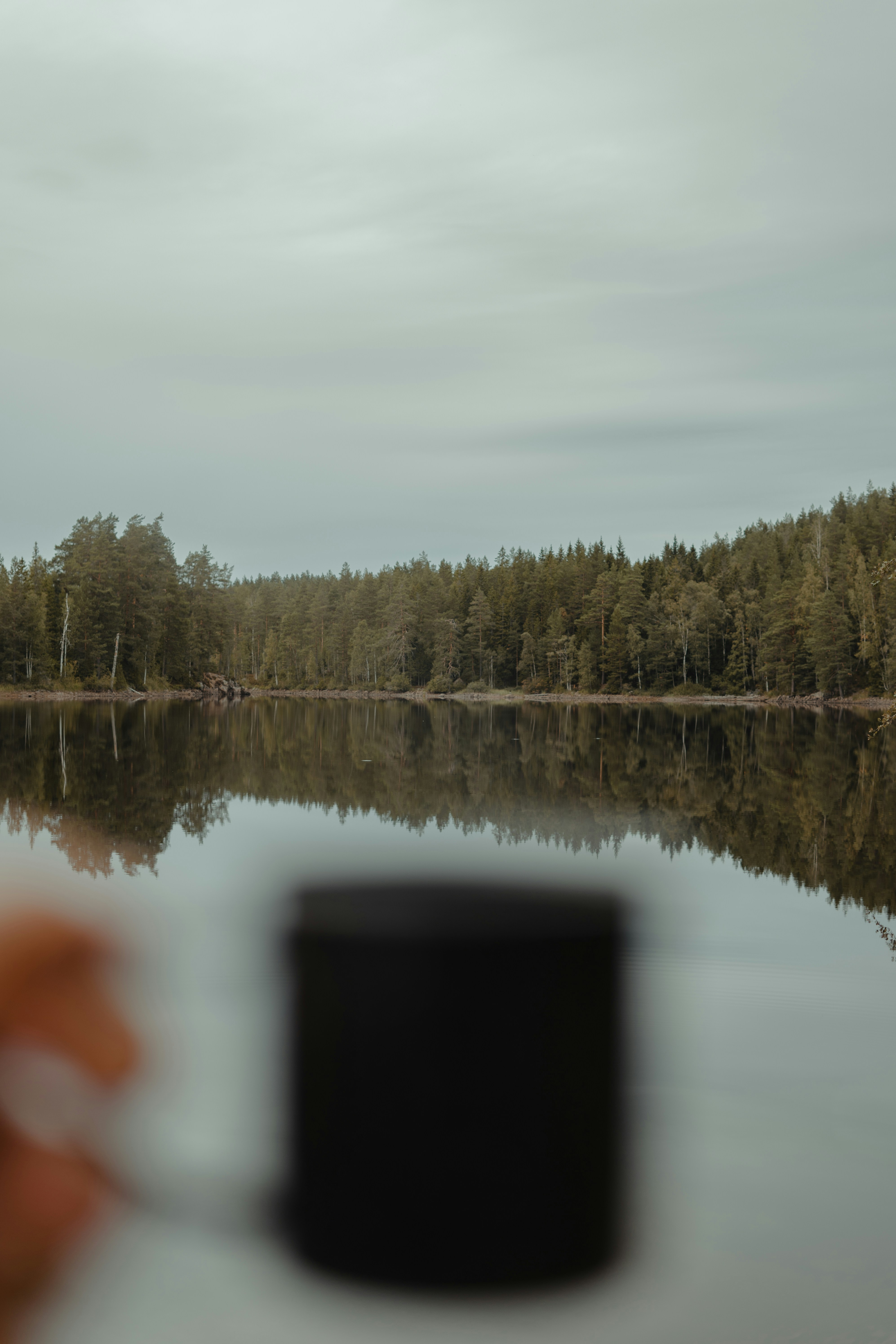 a person taking a picture of a lake with trees in the background