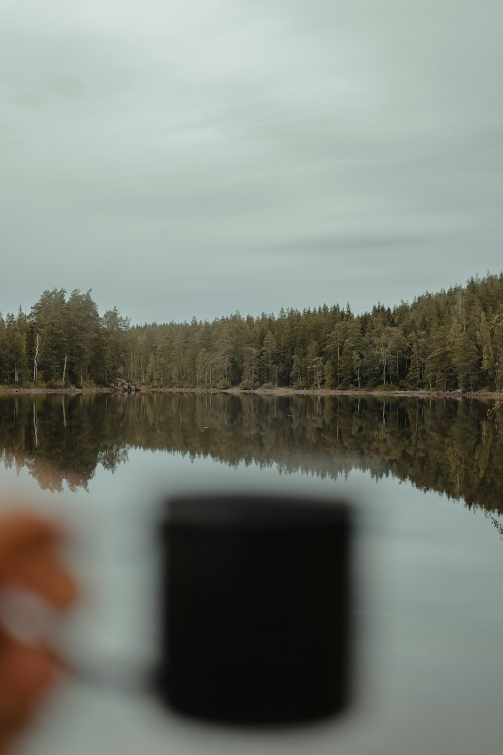 a person taking a picture of a lake with trees in the background