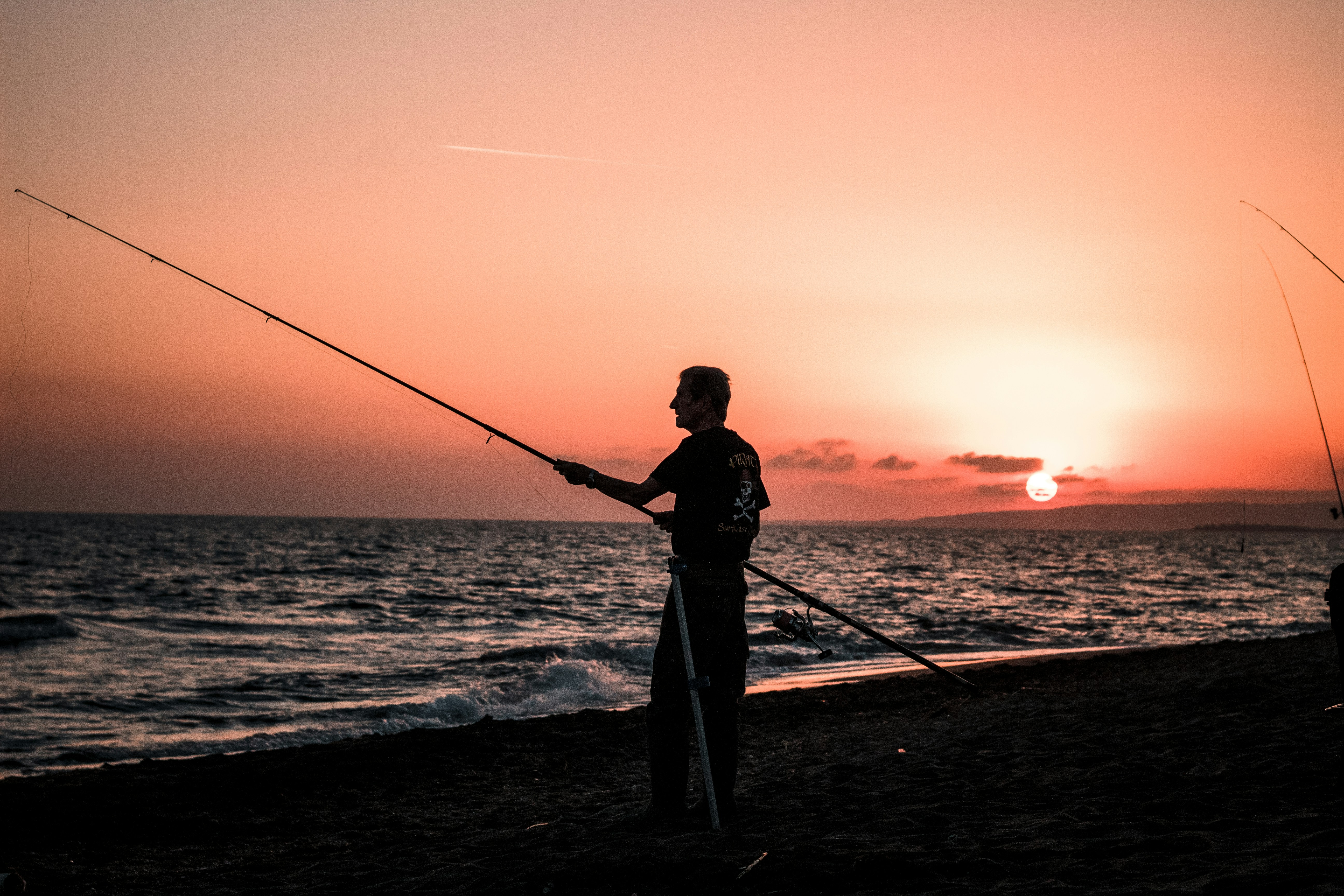 Photo by karinahalley