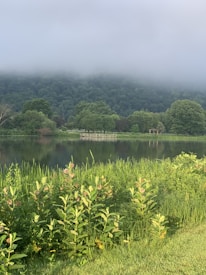 A landscape featuring a serene body of water surrounded by lush greenery and dense forest. A gentle layer of mist hovers around the treetops, creating a calm and tranquil atmosphere. In the foreground, vibrant green grass and plants border the water&rsquo;s edge. Wooden structures, possibly bridges or observation decks, are visible across the lake.