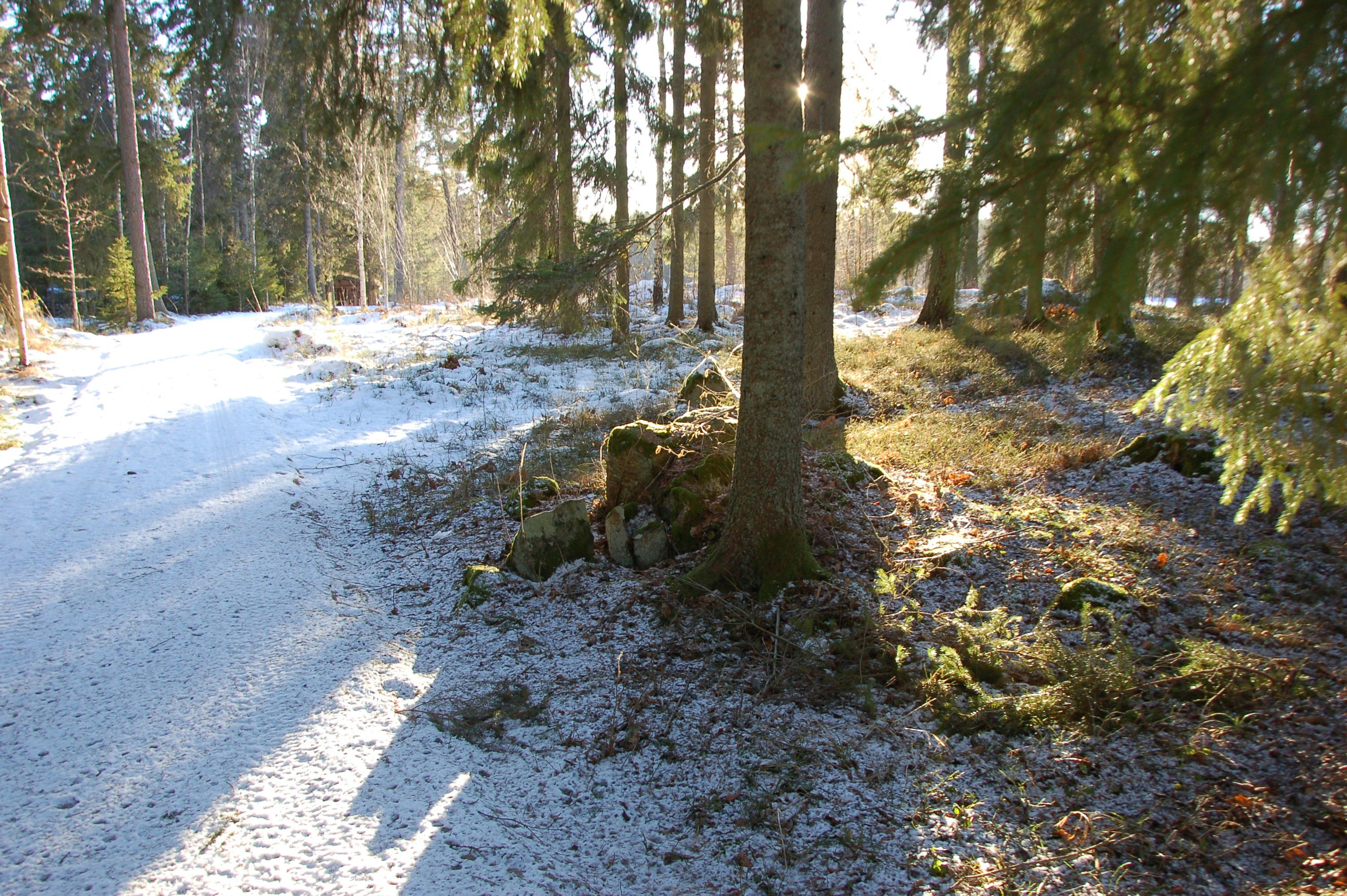 Photo by attieldfjall