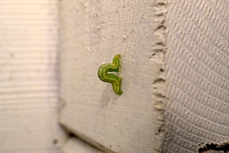 a green toy on a white surface