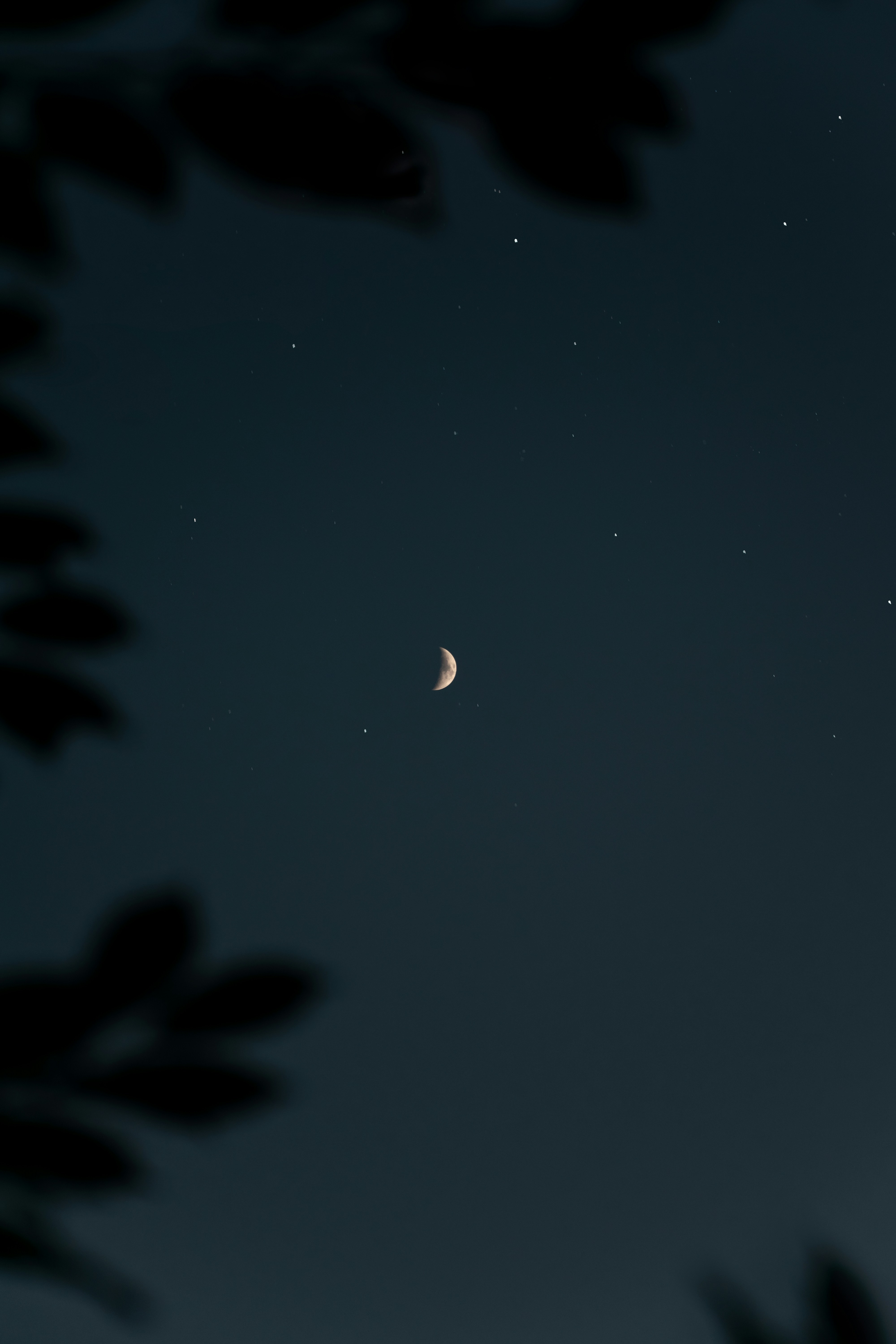 空の月