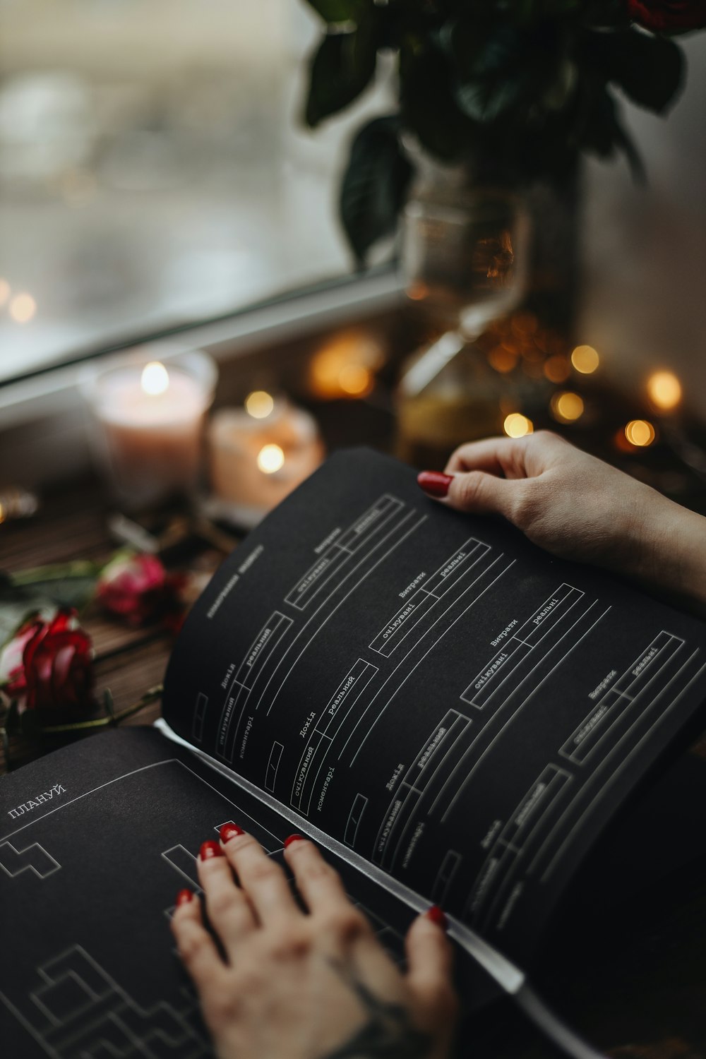 a person holding a book