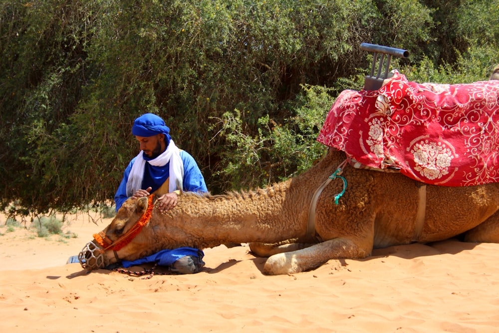 a person riding a camel