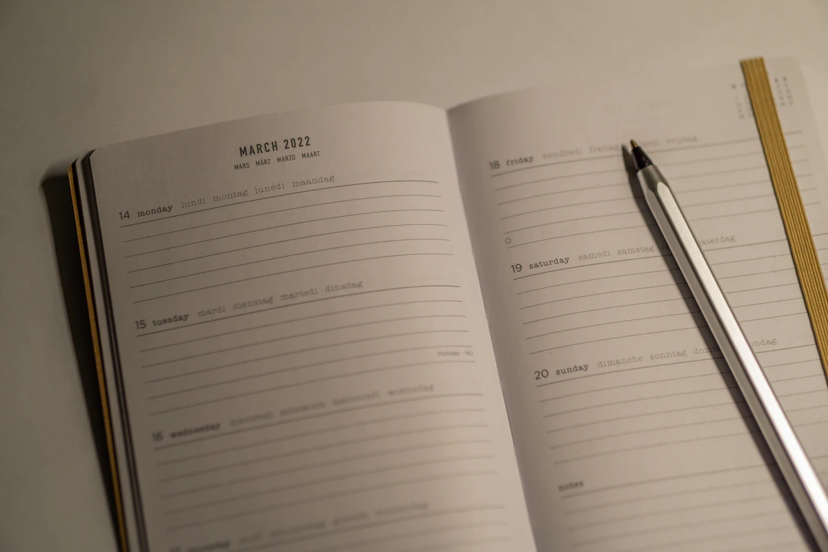 Apercu du projet Skyline Planner