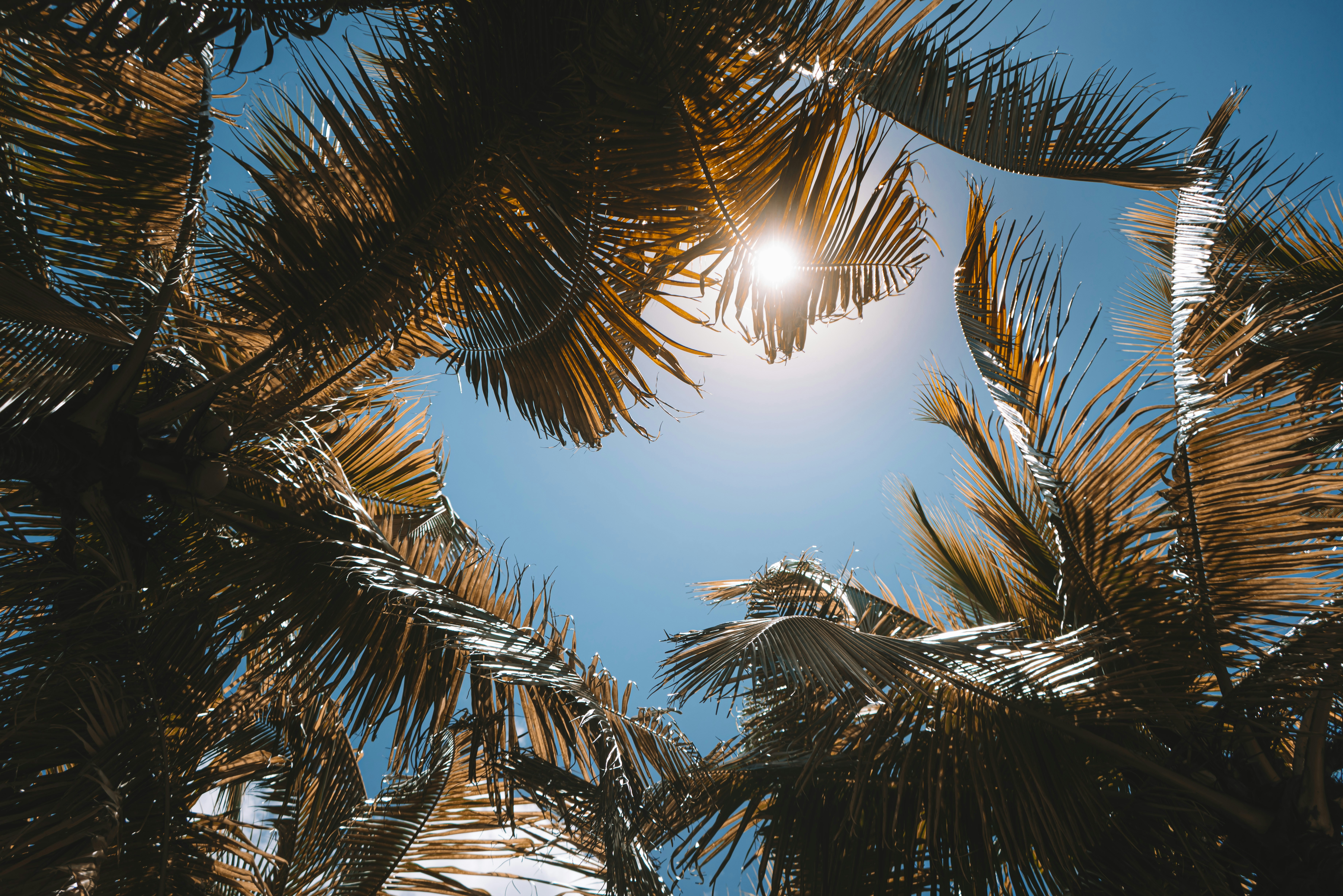 Photo by fitogarciaa