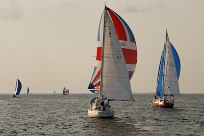 a group of sailboats on the water