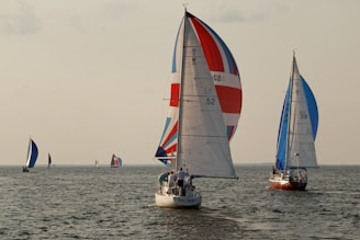 sydney hobart yacht race