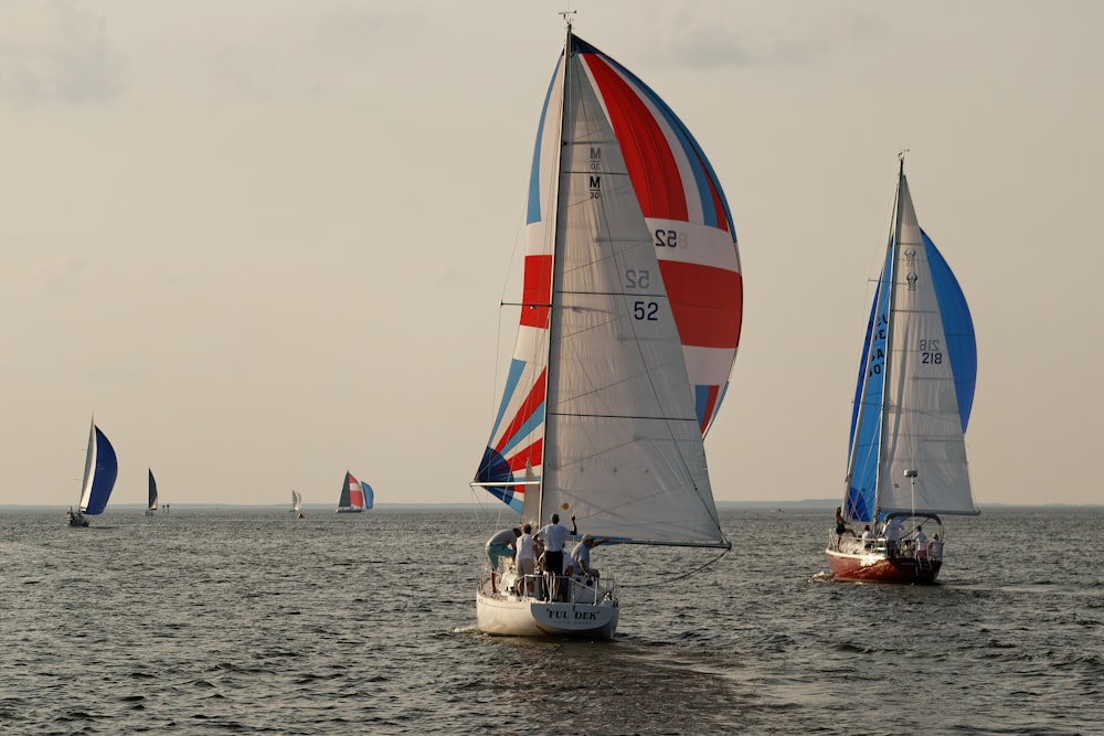 a group of sailboats on the water